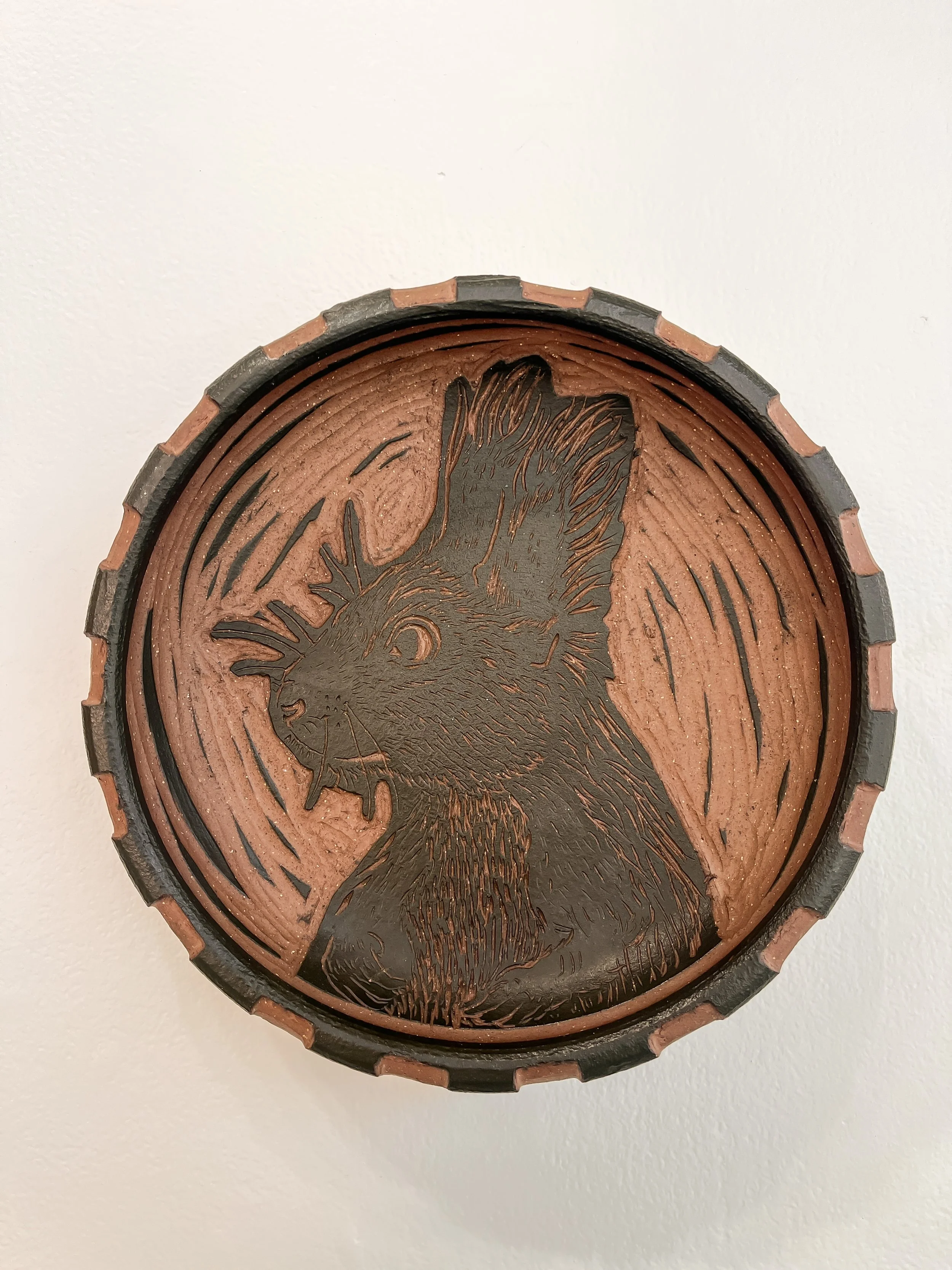 Squirrel