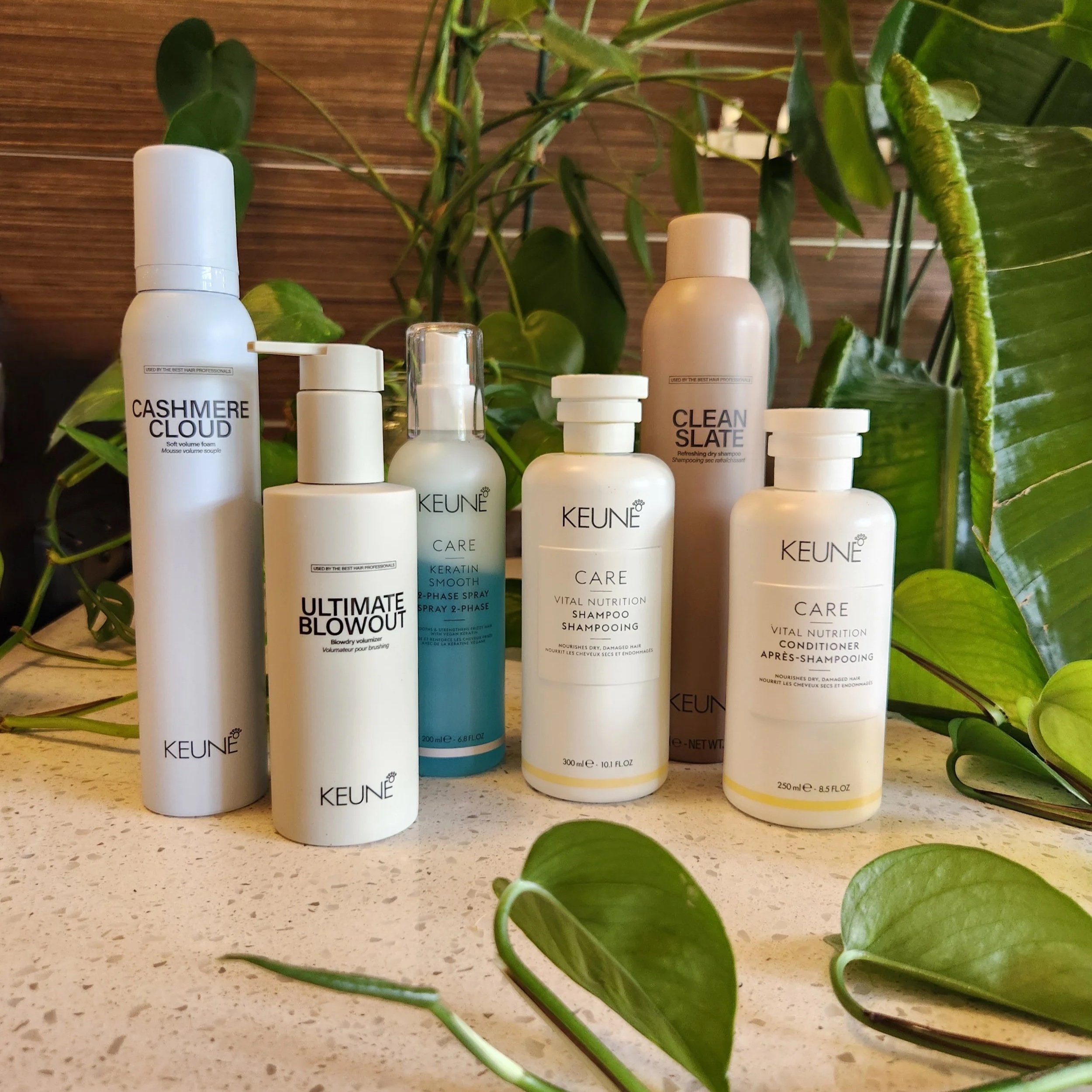 A collection of Keune hair care products, including shampoo, conditioner, dry shampoo, and styling sprays, arranged on a light-colored surface with green leafy plants in the background.