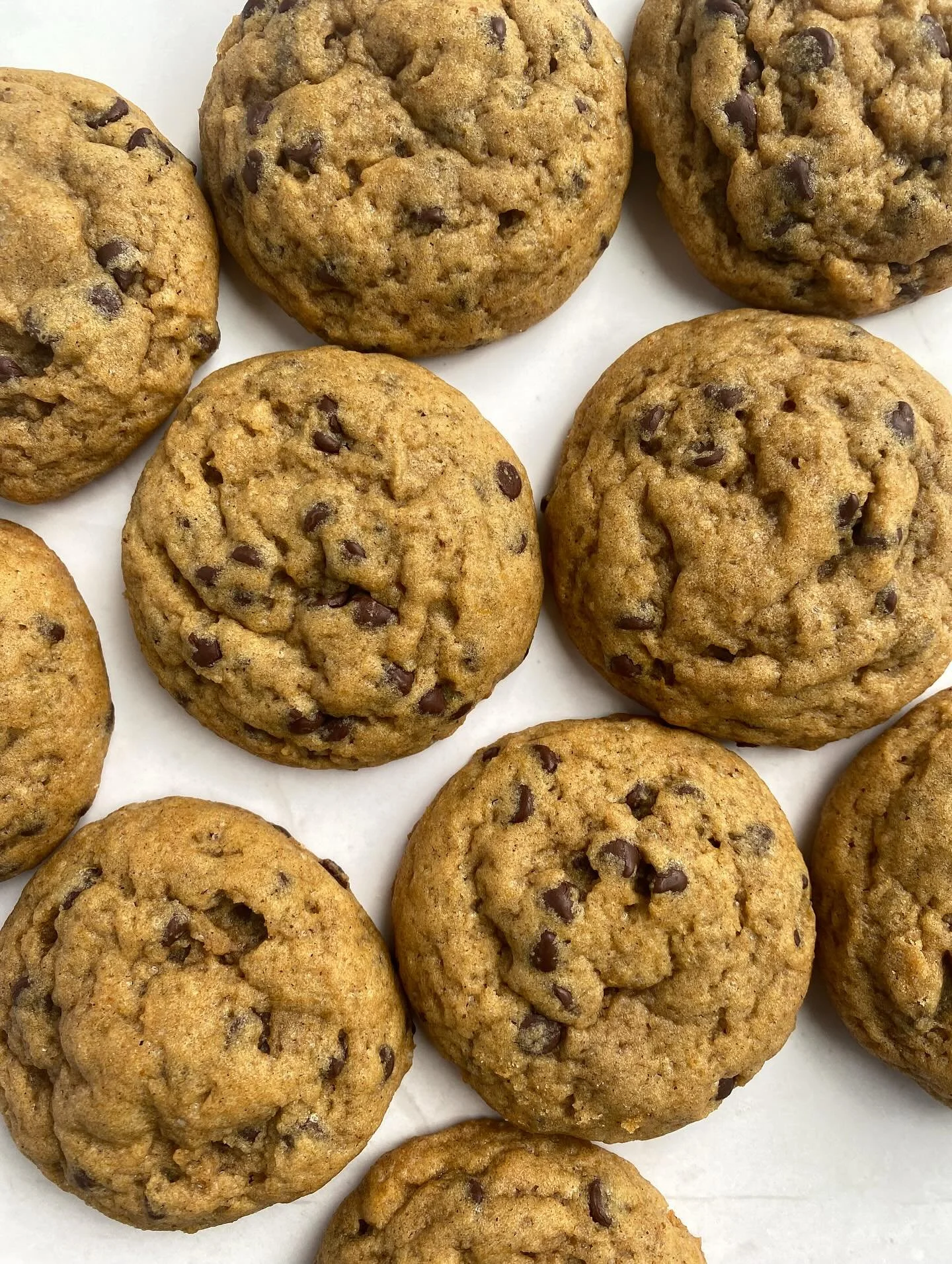 These were a hit on our last menu, and they are dropping again this week! 

Pumpkin chocolate chip cookies 🍪 A classic with a hint of pumpkin. 

#sherwoodcookies #sherwoodoregon #vegancookiesoregon