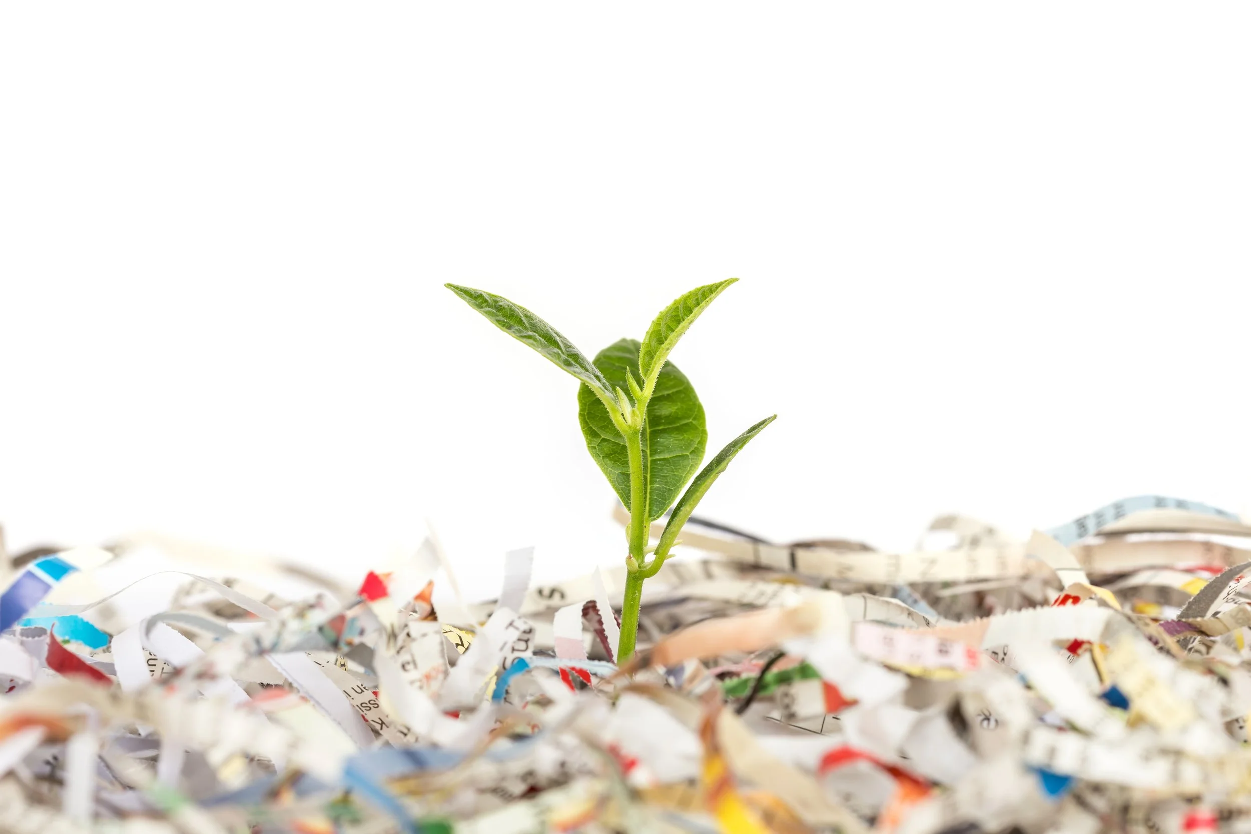 Birmingham’s Leading Eco-Friendly Shredding Services with Proven Community Impact