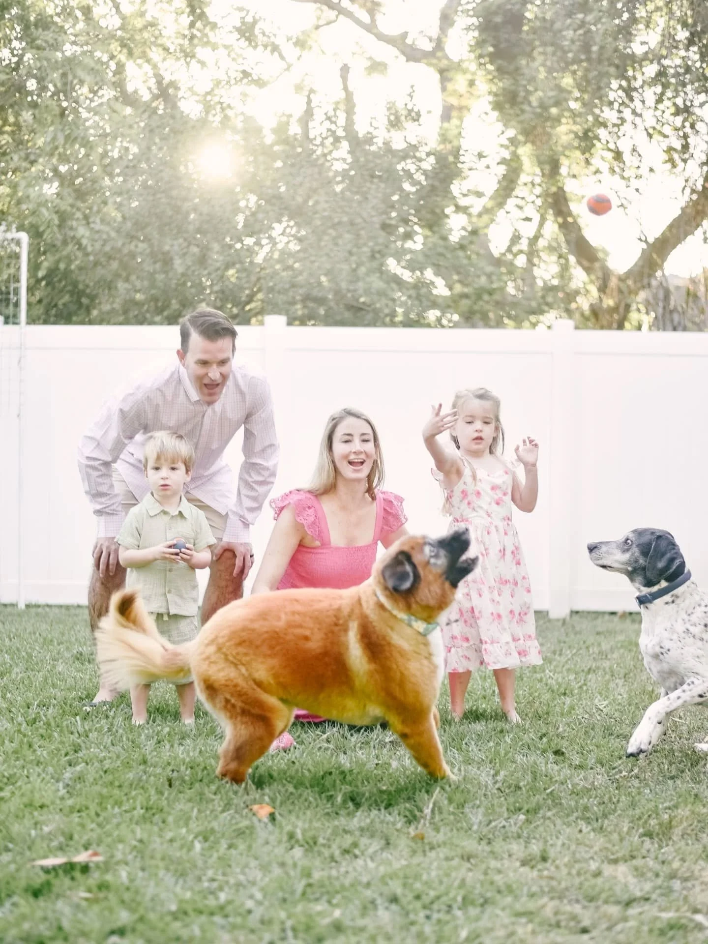 Allen family session part two: we went back to their house to play with the dogs in the backyard, which made for the sweetest moments! Less than a week later one of their precious dogs passed away, we were all so glad to have taken the time to includ