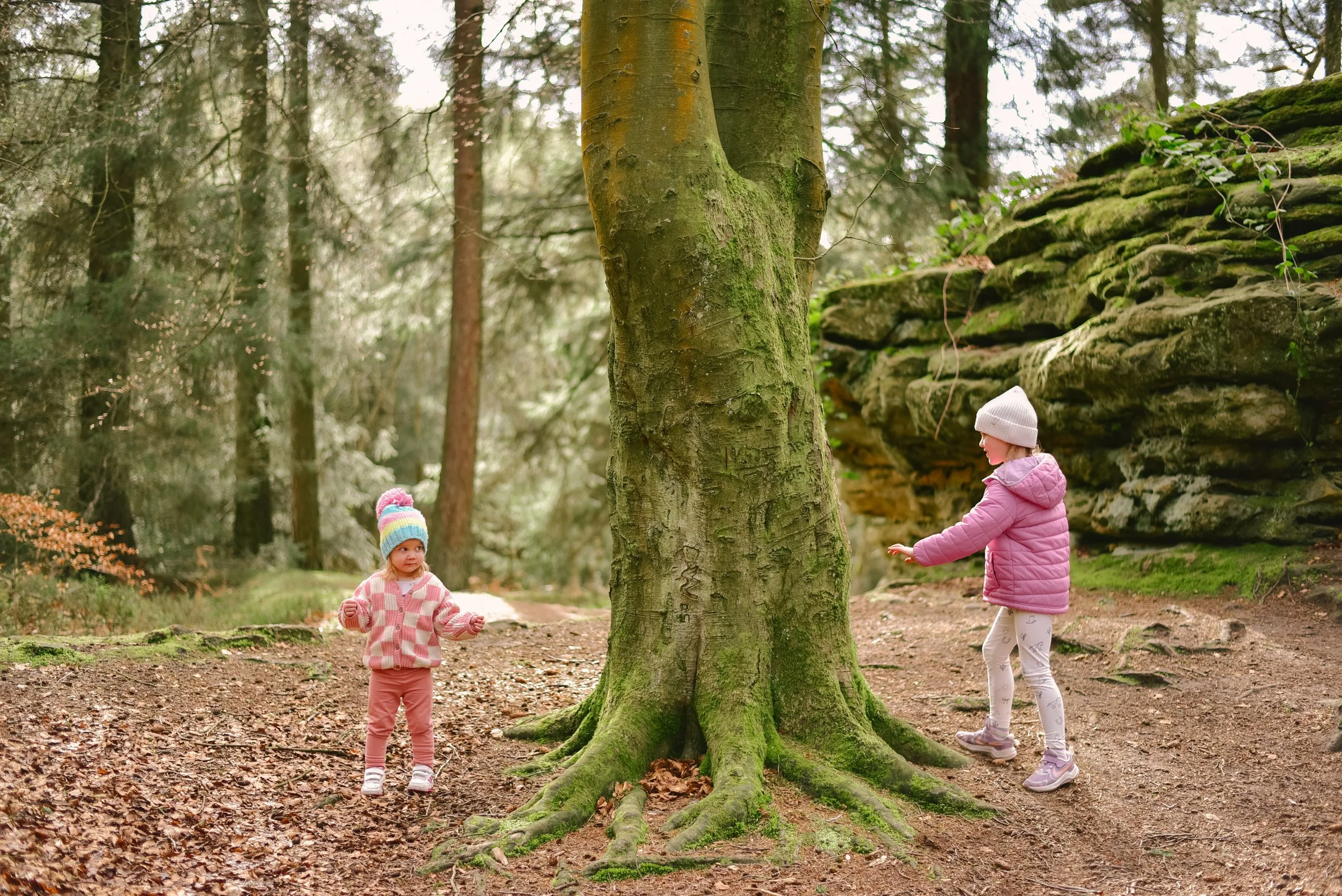 Dalby Forest Family - North Yorkshire