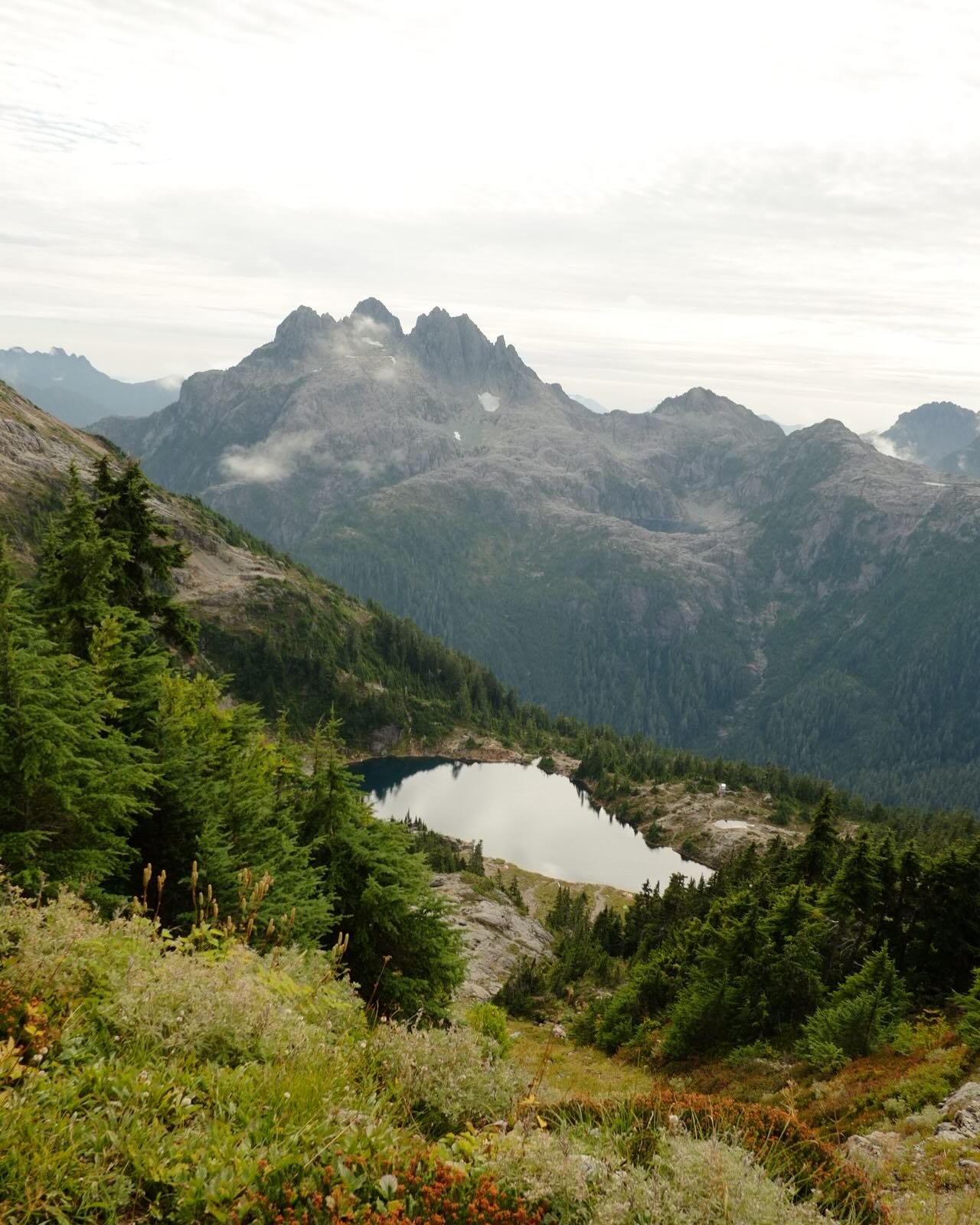 Cant tell you how incredible it is to hike up a mountain with my son! Such a special hike with family and friends. Plan to hike 5040 if you are in the island, best view on the island. #vancouverisland #5040 #fujifilm #xpro1 #hike #gohike #tourismport