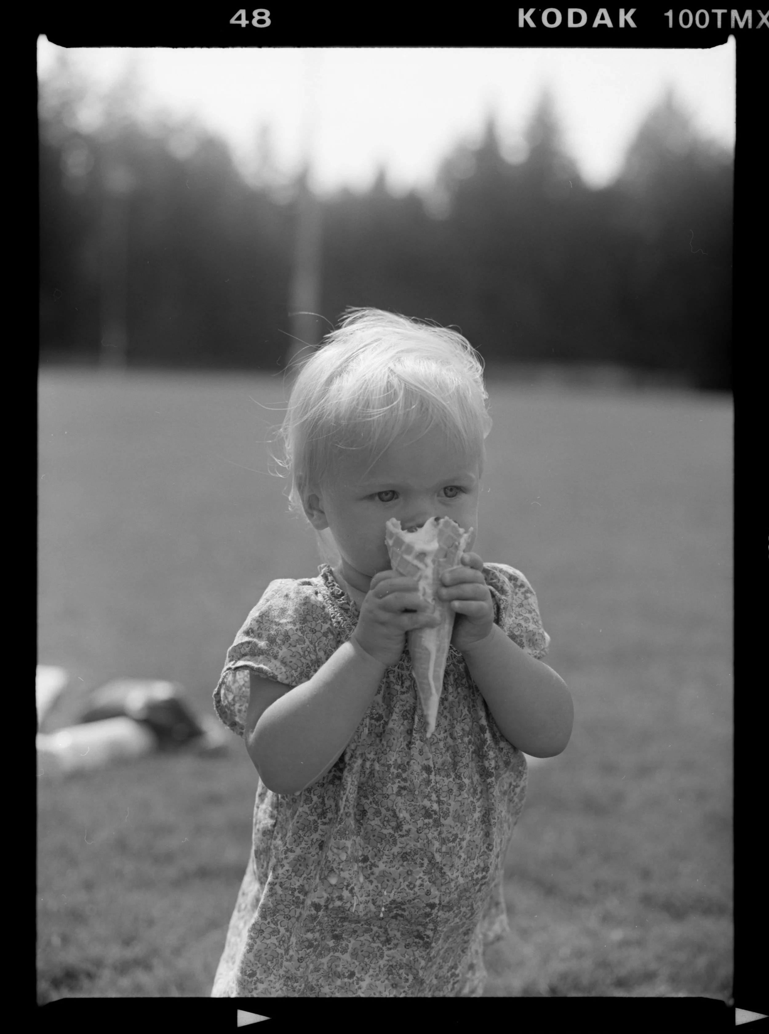 KODAK TMAX 1000002 copy.jpg