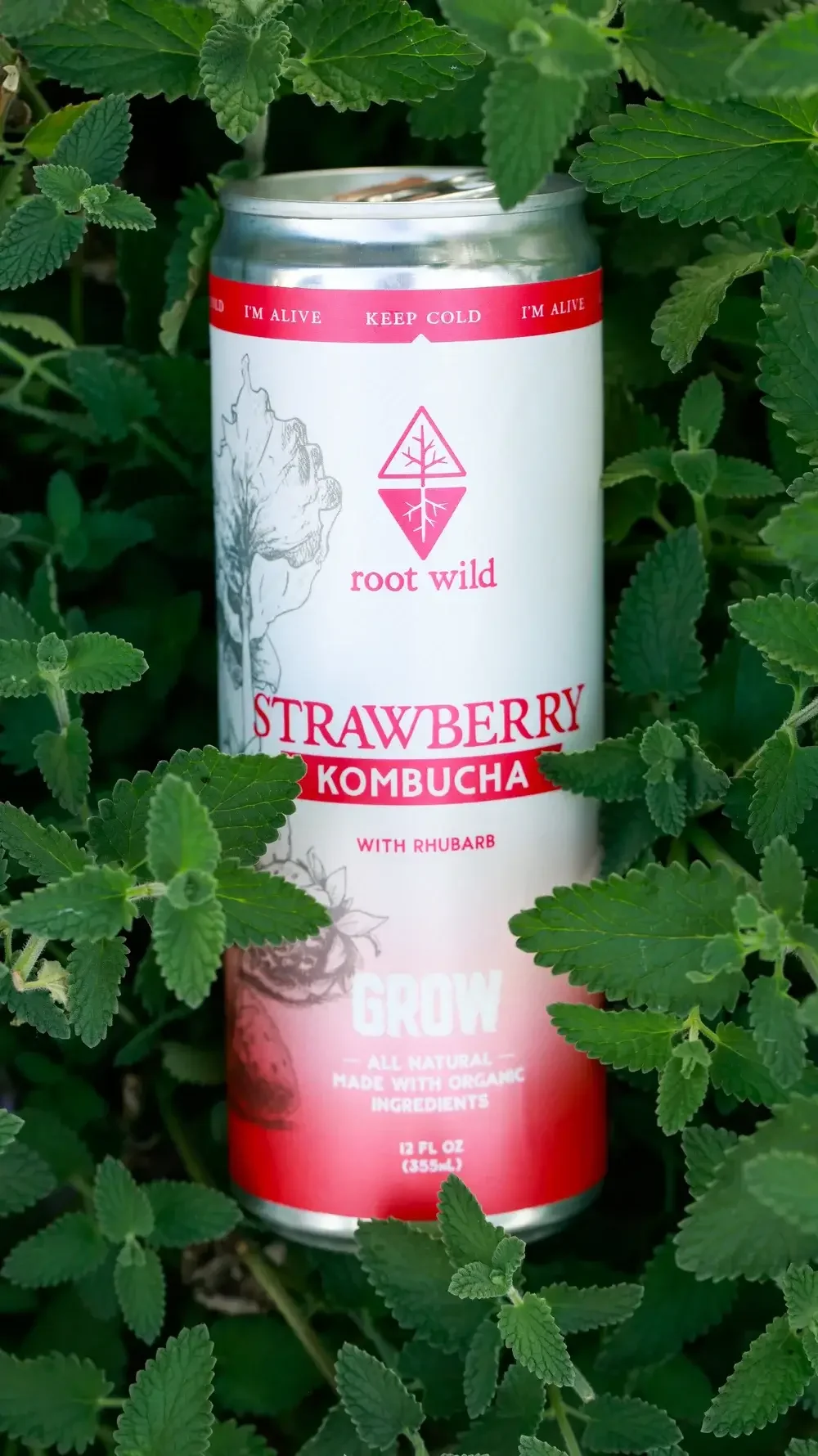  A bottle of root wild strawberry kombucha, showcasing its vibrant red color and natural ingredients on a wooden table.