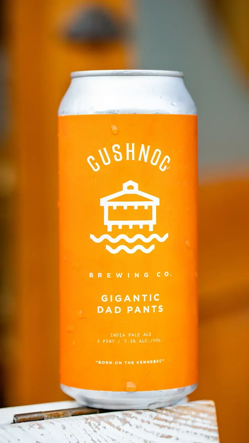 A pair of oversized pants with a playful design, representing the Giant Dad Pants from Cushno Brewing Company.
