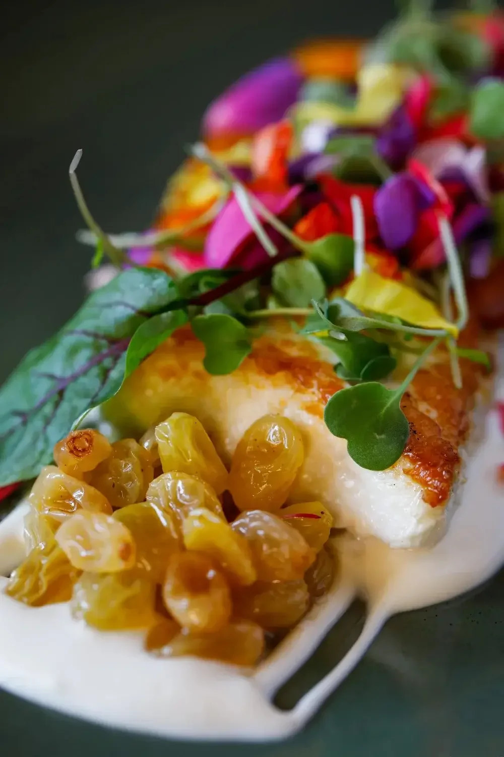 A plate featuring grilled fish accompanied by a colorful assortment of fresh vegetables