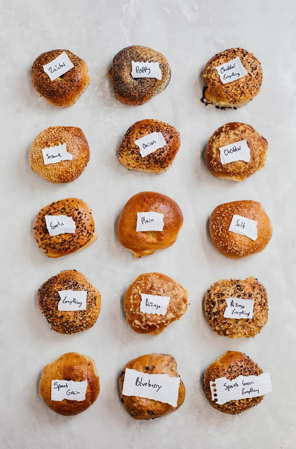 A selection of bagels labeled with different names, showcasing various flavors and styles.

