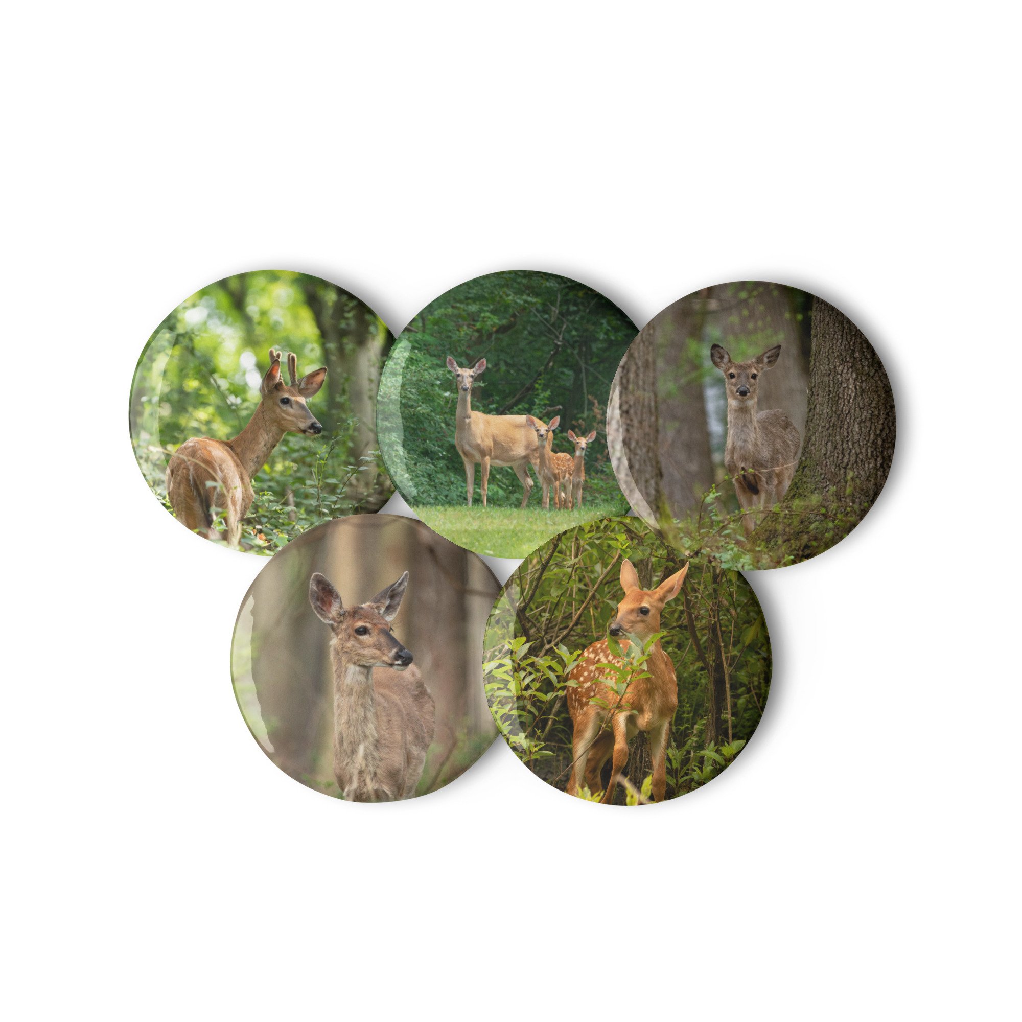 set-of-pin-buttons-white-2.25-front-2-681ab6f903fc5.jpg