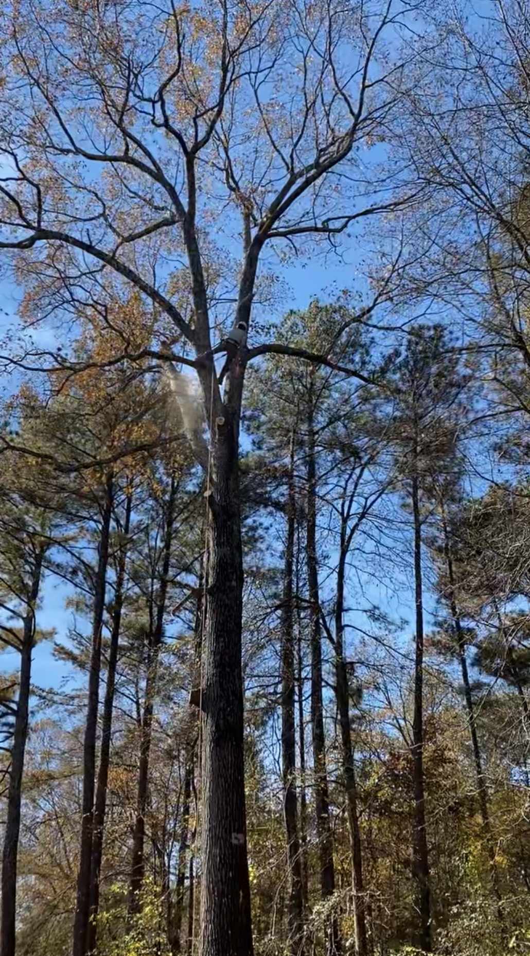 Screenshot 2024-12-31 at 2.21.54 PM.png