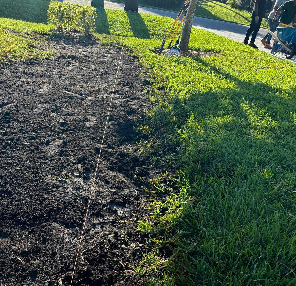 Fix poor drainage and reinstall soil and grass #landscaping