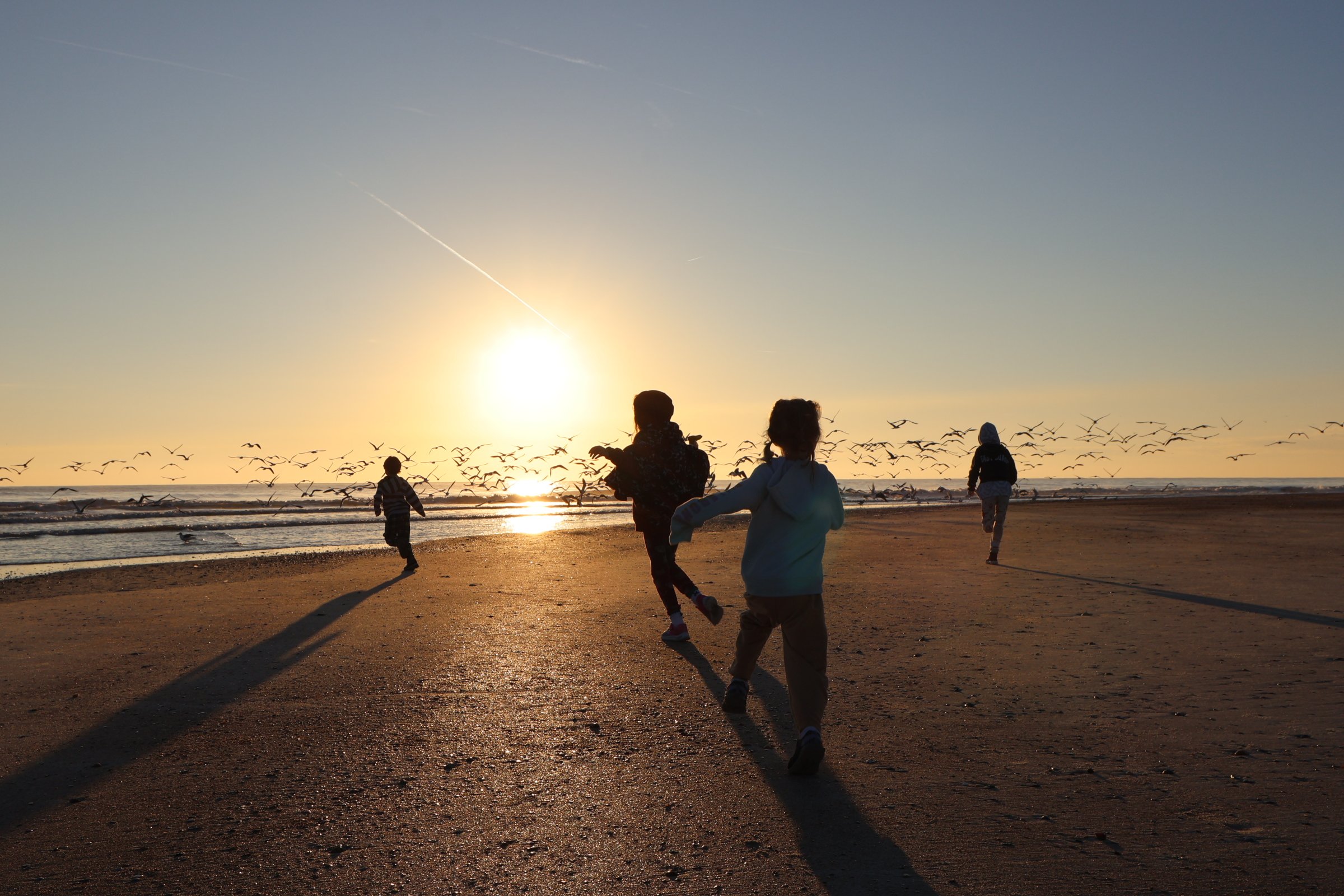 Fort Clinch - Jan 2026