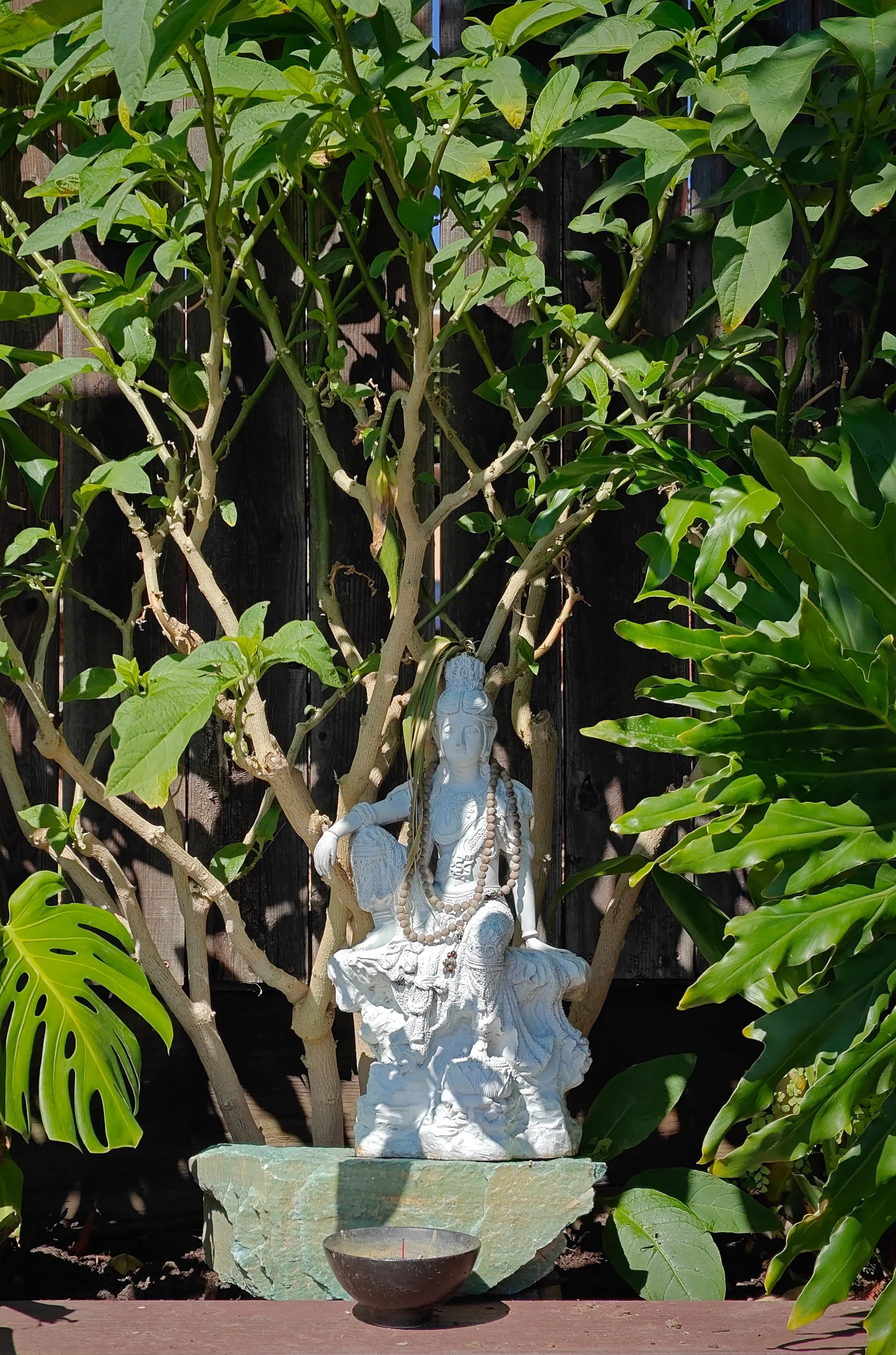 Winter at Holds the Moon Quan Yin Water Temple