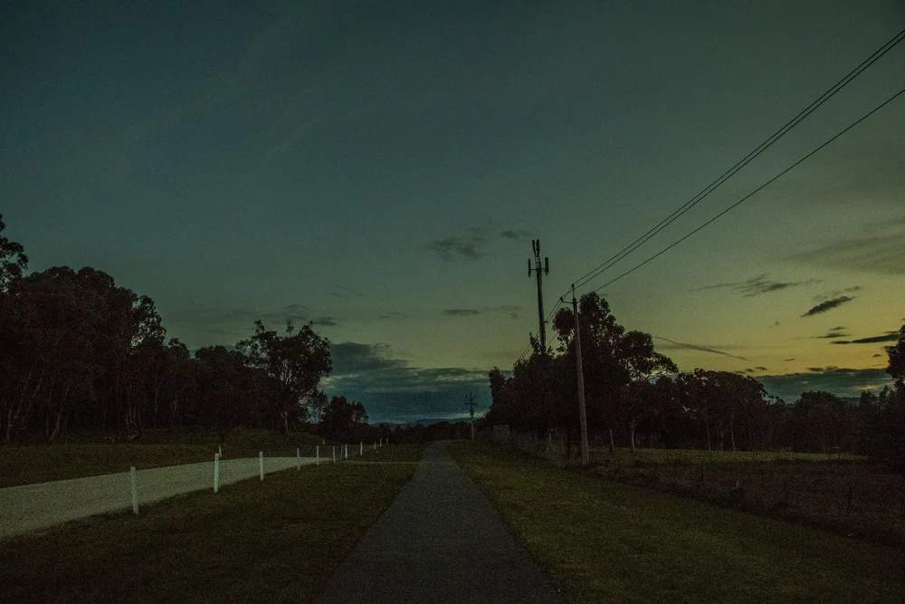 Evening road scene with trees and utility poles silhouetted against the sky.