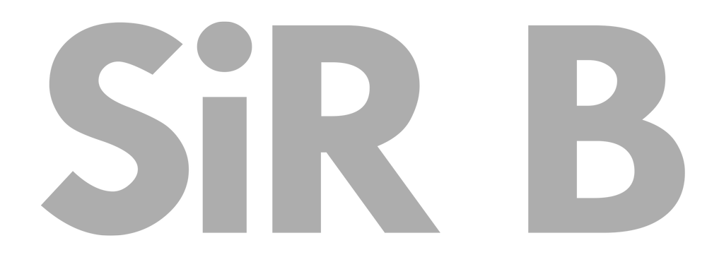 Identity design: sir b