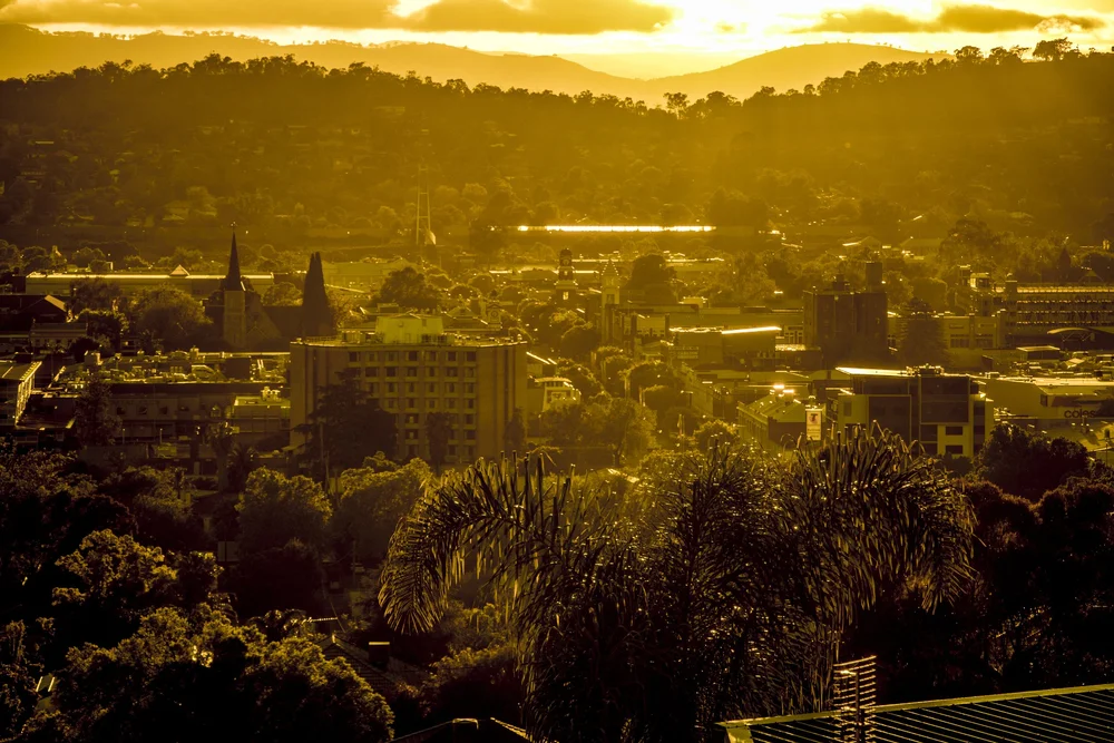 Sunset view of a cityscape with buildings and hills, bathed in golden light, with trees in the foreground.