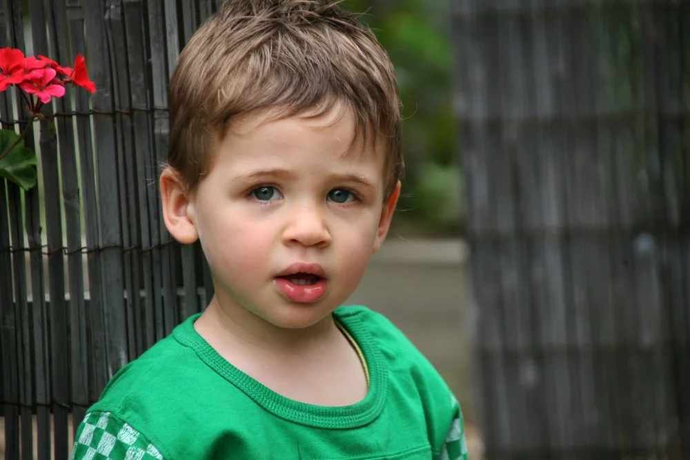 Young child in green shirt outdoors, standing near a bamboo fence with red flowers.