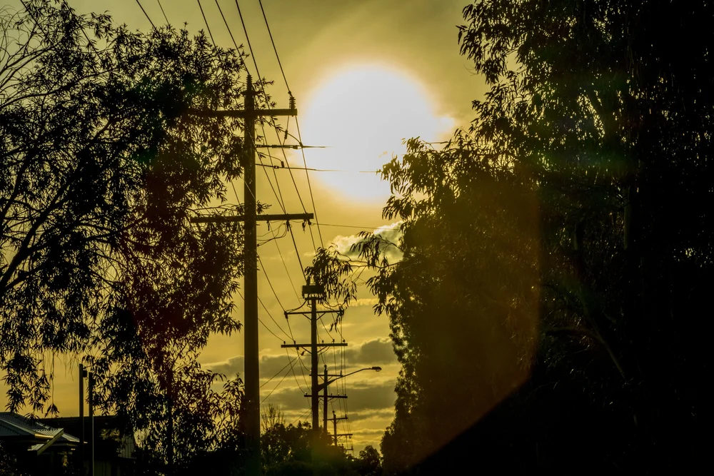 Sunset with power lines and silhouetted trees