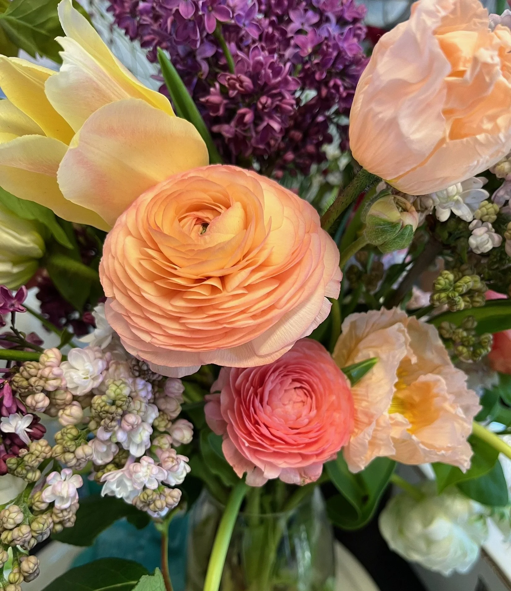 Spring Designer’s Choice — Standard