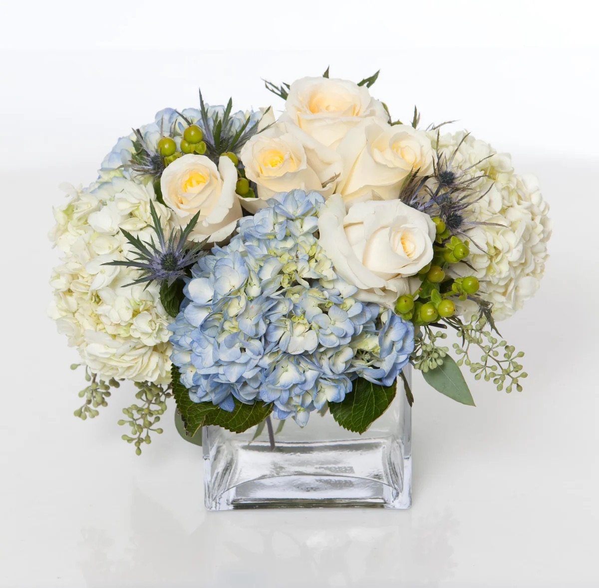 Hydrangea Dreams