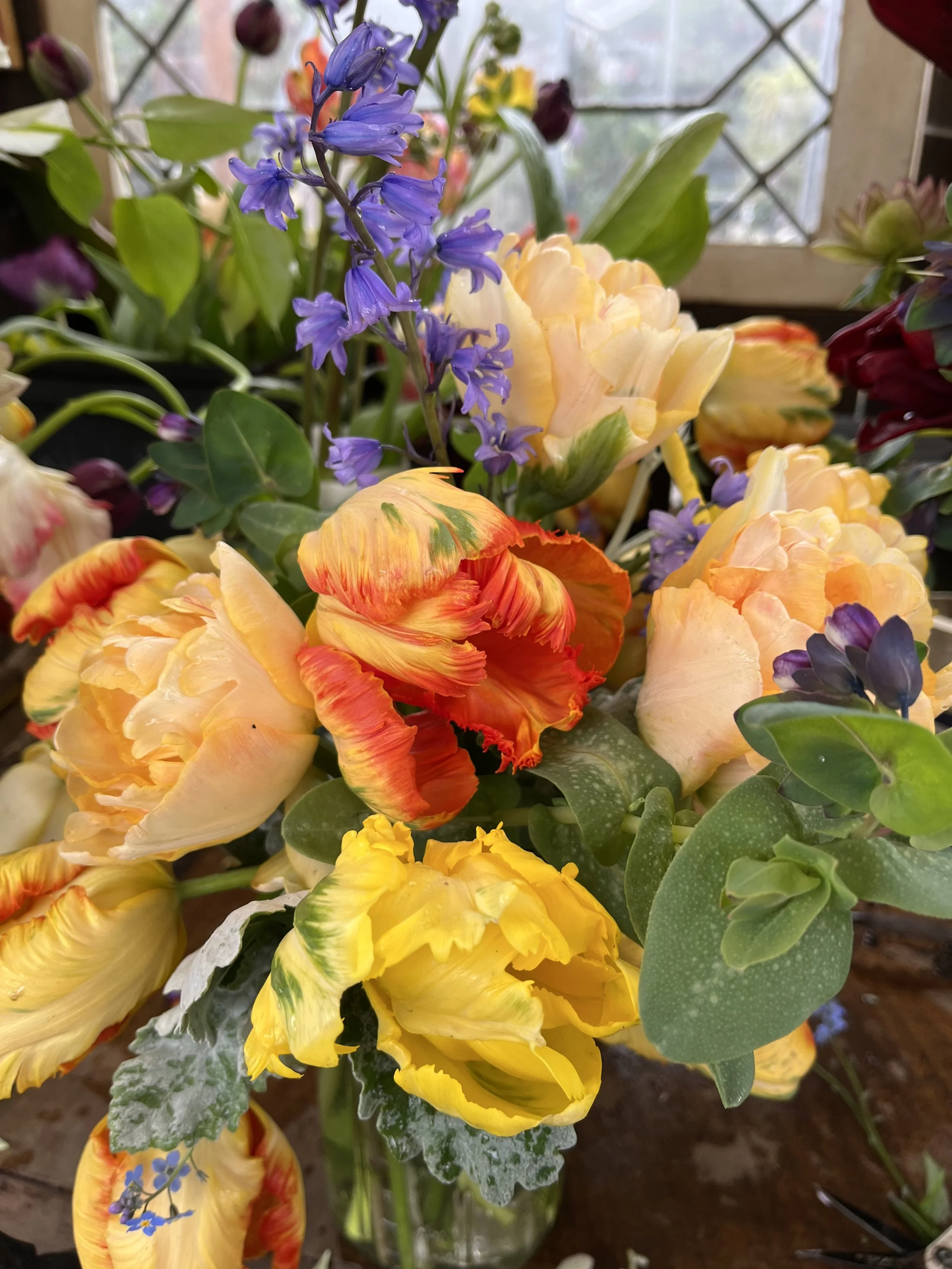 Spring Designer’s Choice — Deluxe