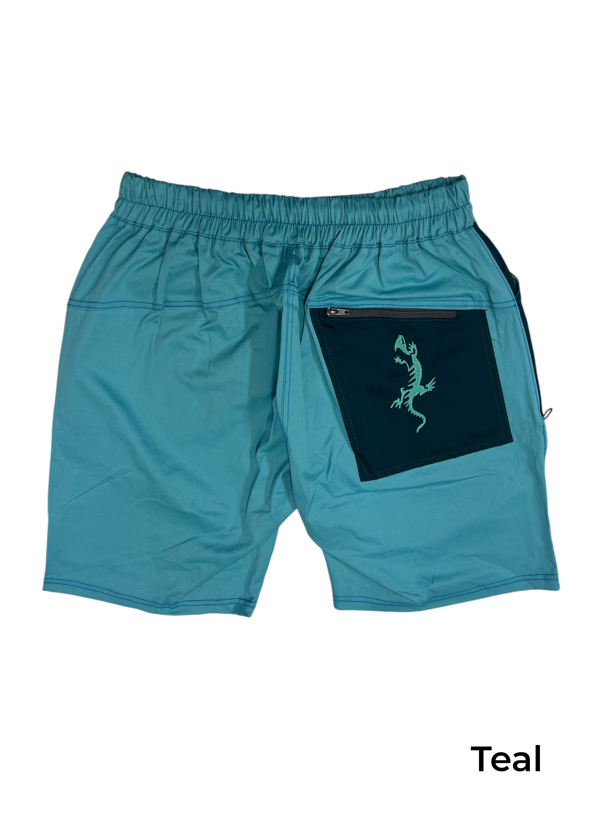 Teal Shorts Back.png