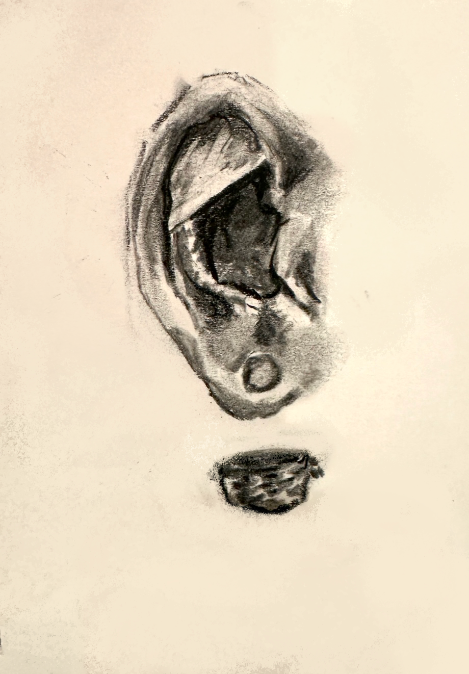 Cut ear.png