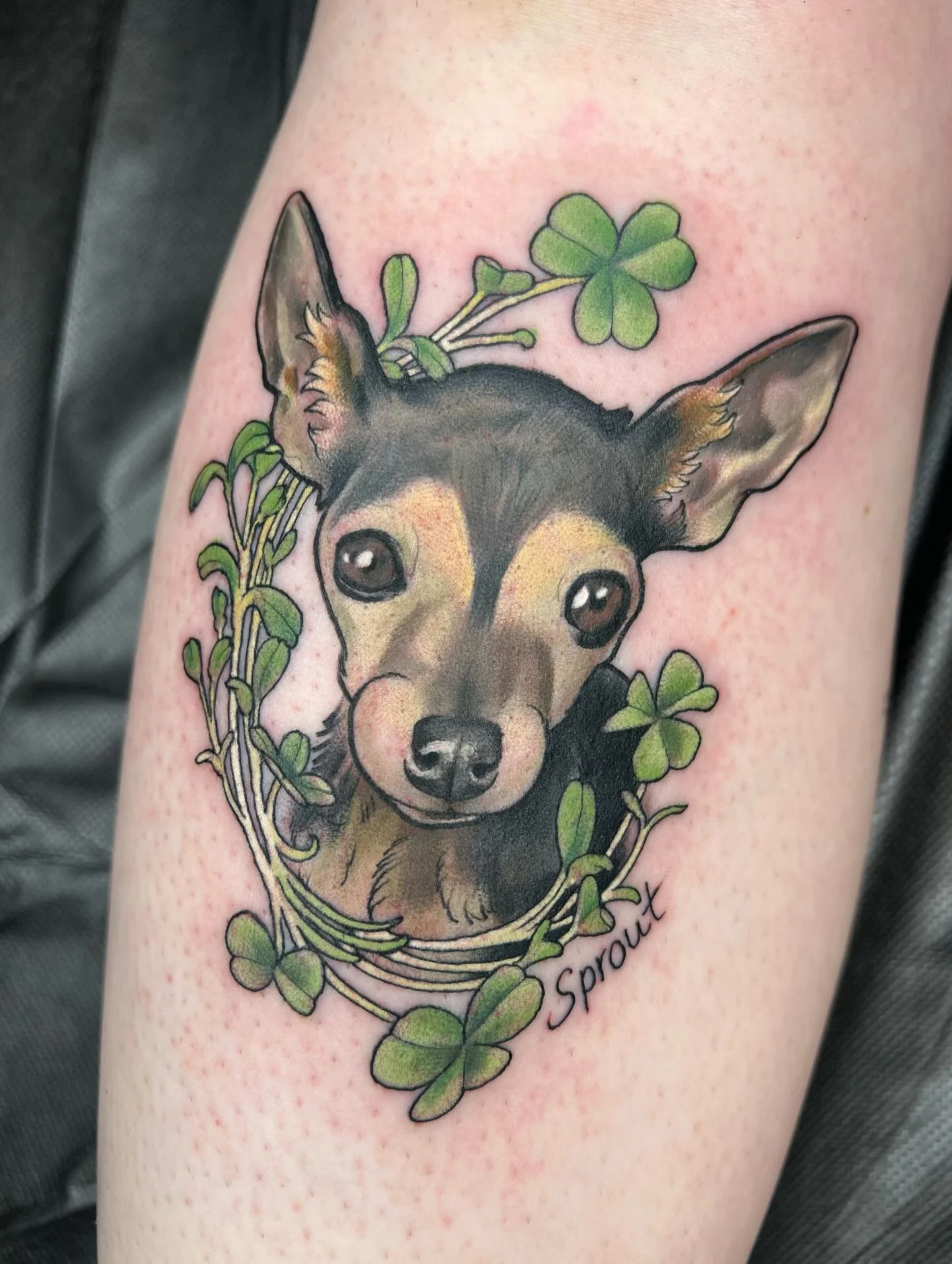 a little big-eared pup named Sprout 🌱 thanks as always Kristin 
.
.
.
.
#dogtattoo #chihuahuas #ladytattooers #aztattooers #phoenixtattooers #tattoosnob