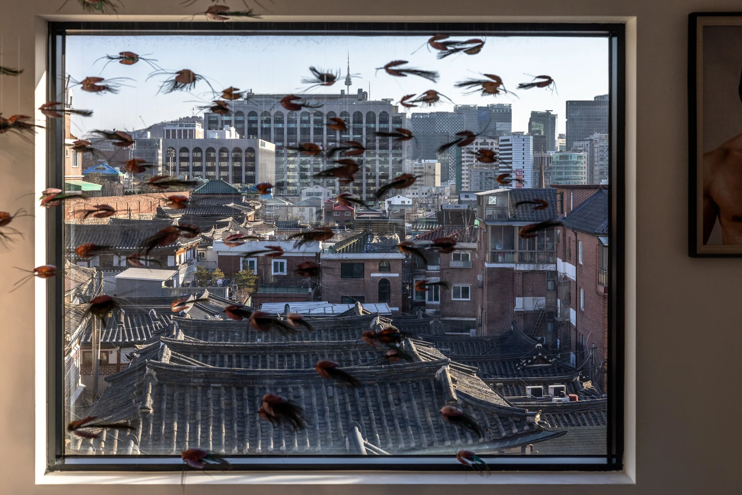 Parker McComb_HYDROHALO_Combine Works_2026_027.jpg