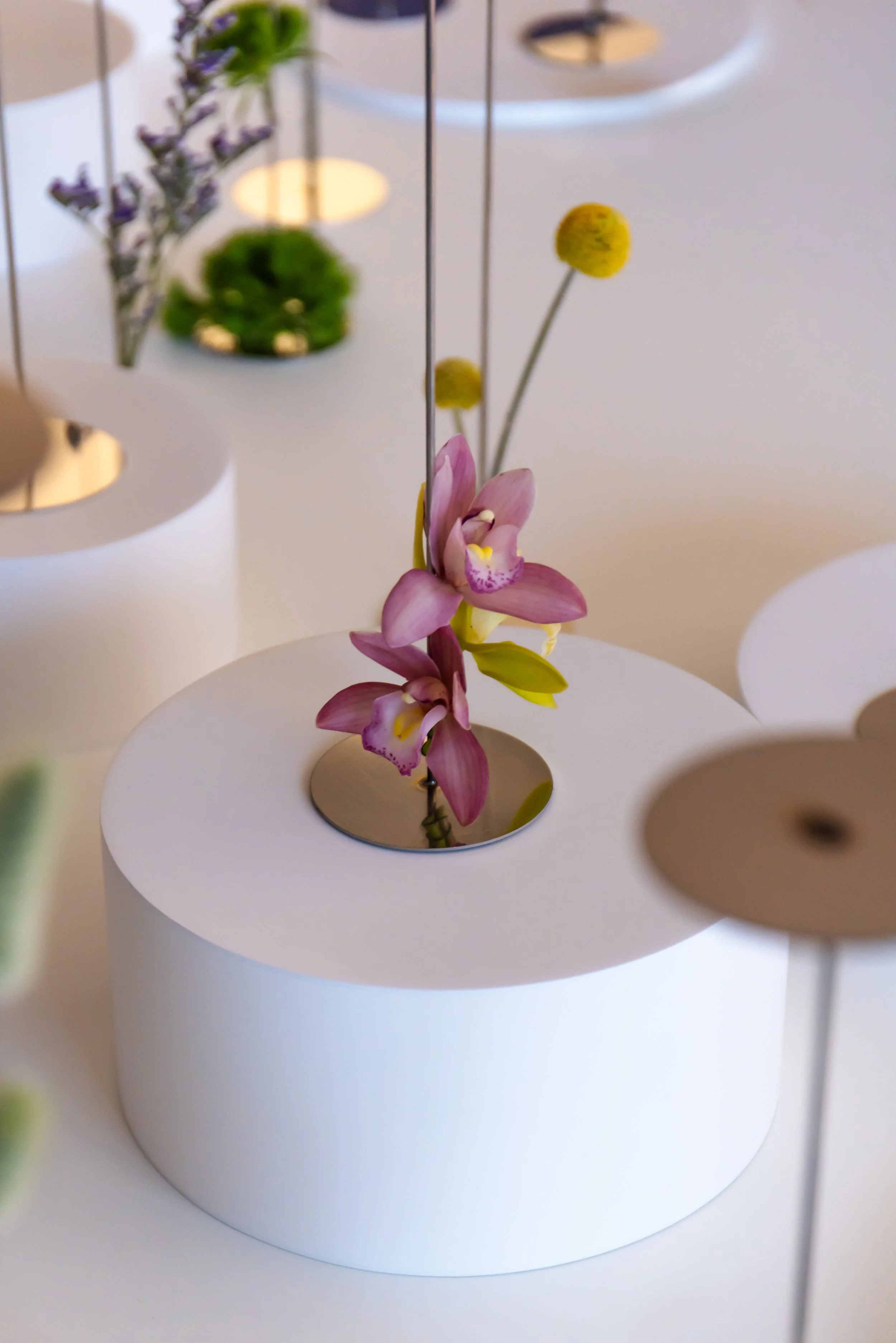 ParkerMcComb_Ad Arte_Loop Busan_019.jpg