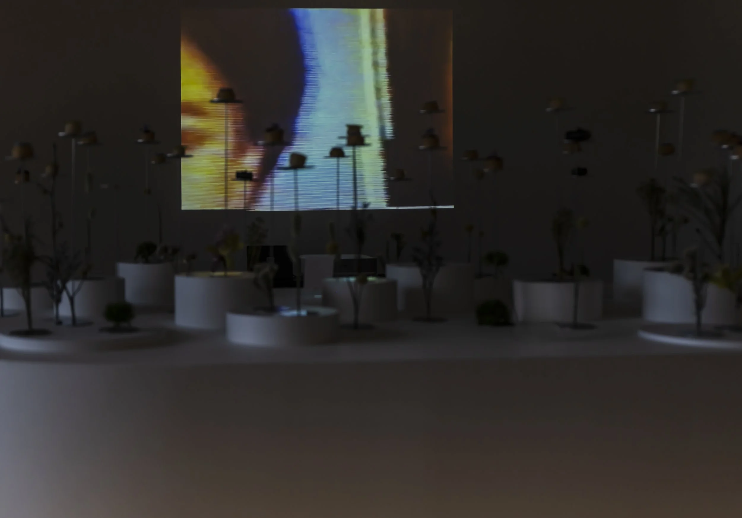 ParkerMcComb_Loop Busan_Ad Arte_Batch2017.jpg