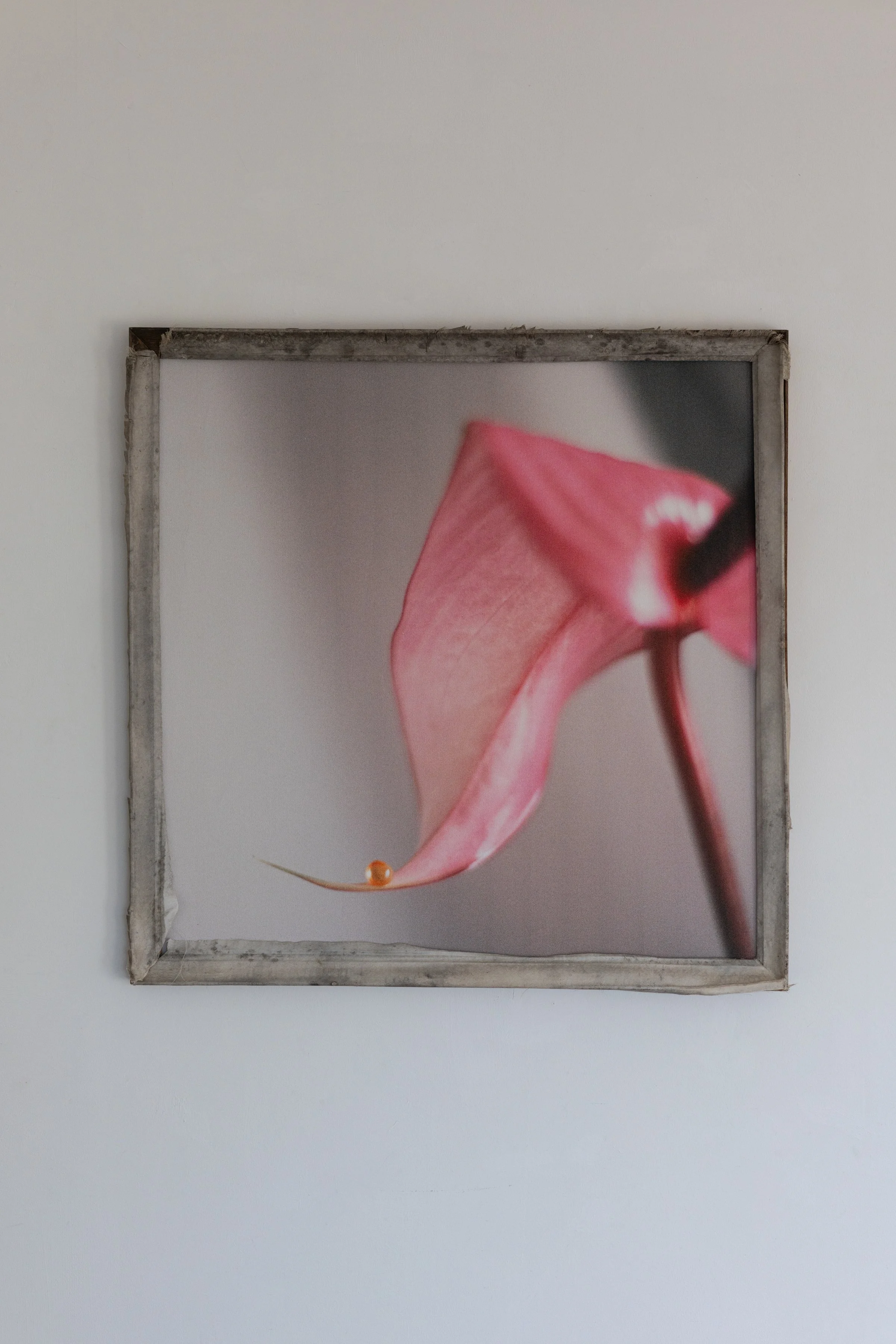 Parker McComb_HYDROHALO_Combine Works_2026_014.jpg