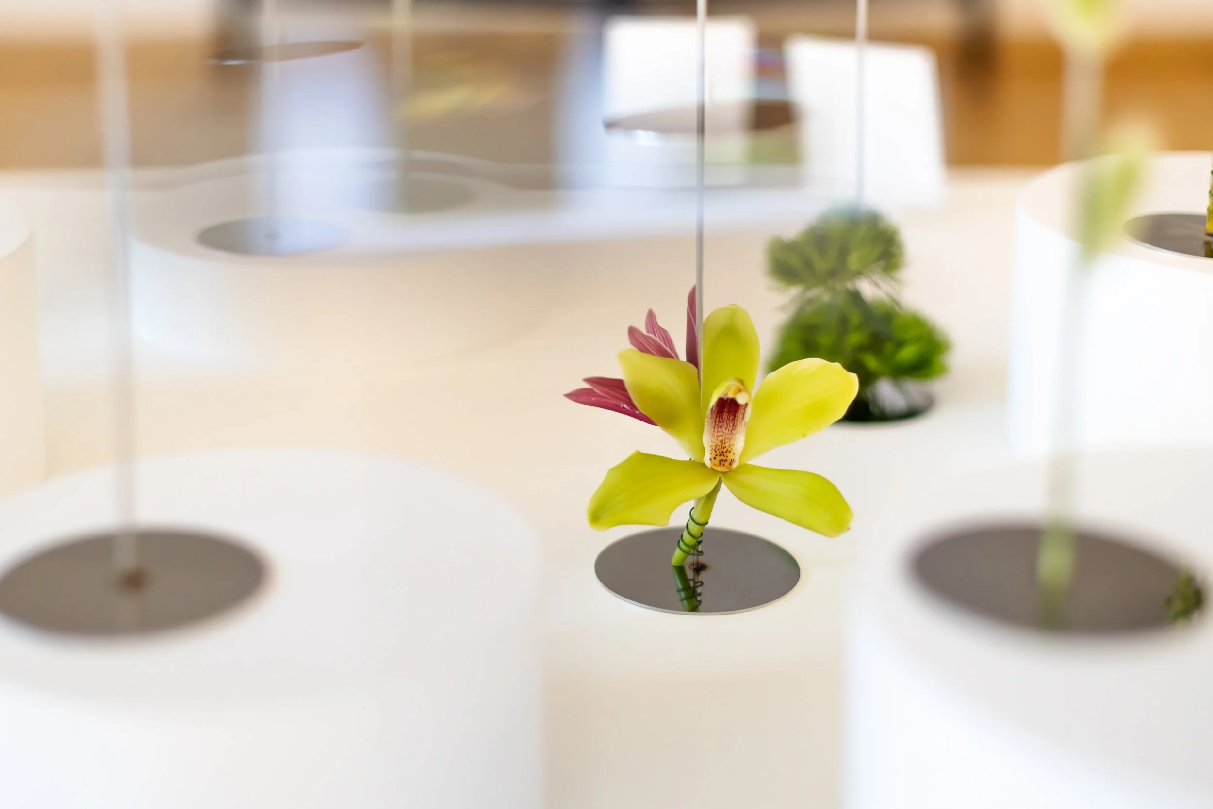 ParkerMcComb_Ad Arte_Loop Busan_012.jpg