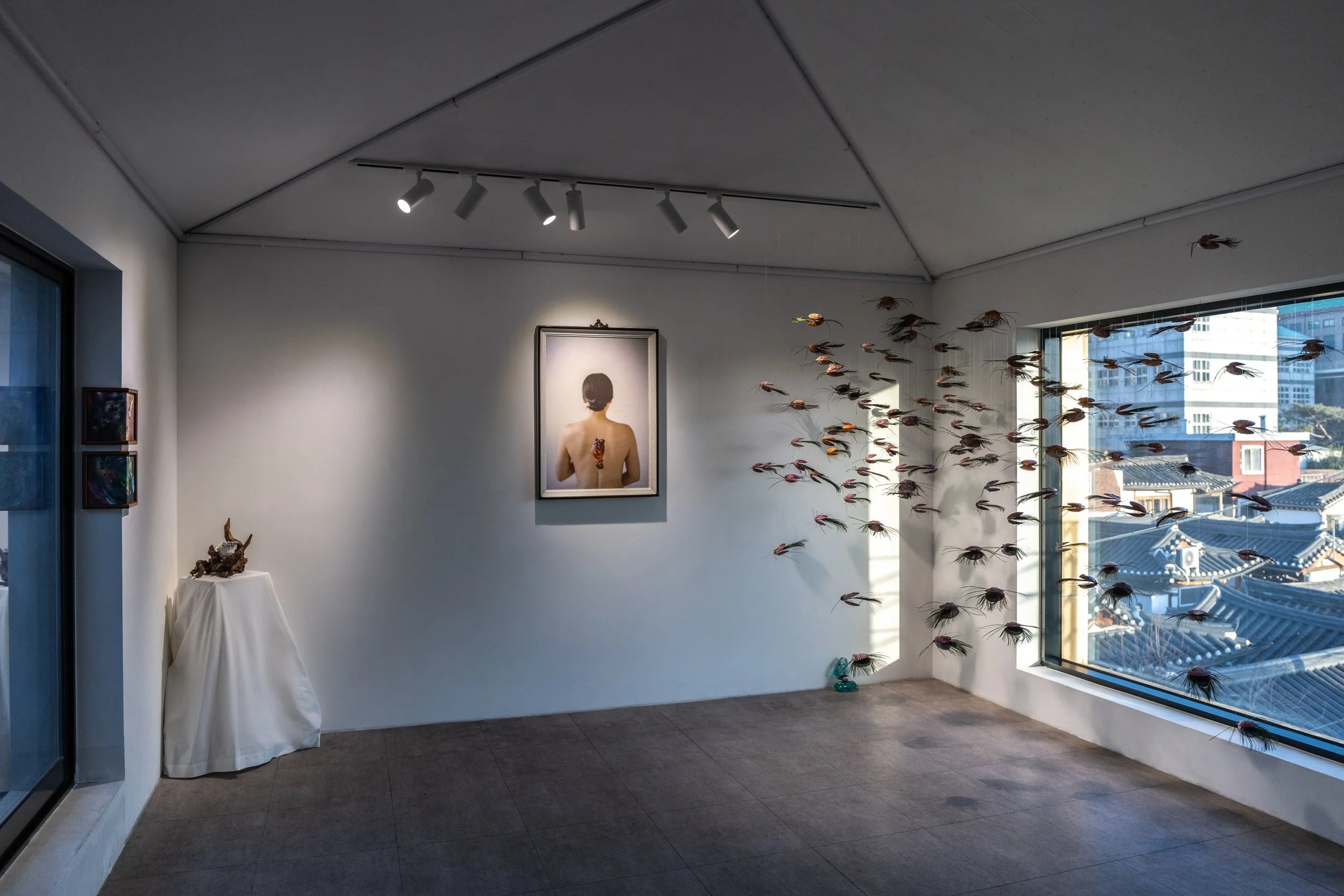 Parker McComb_HYDROHALO_Combine Works_2026_029.jpg