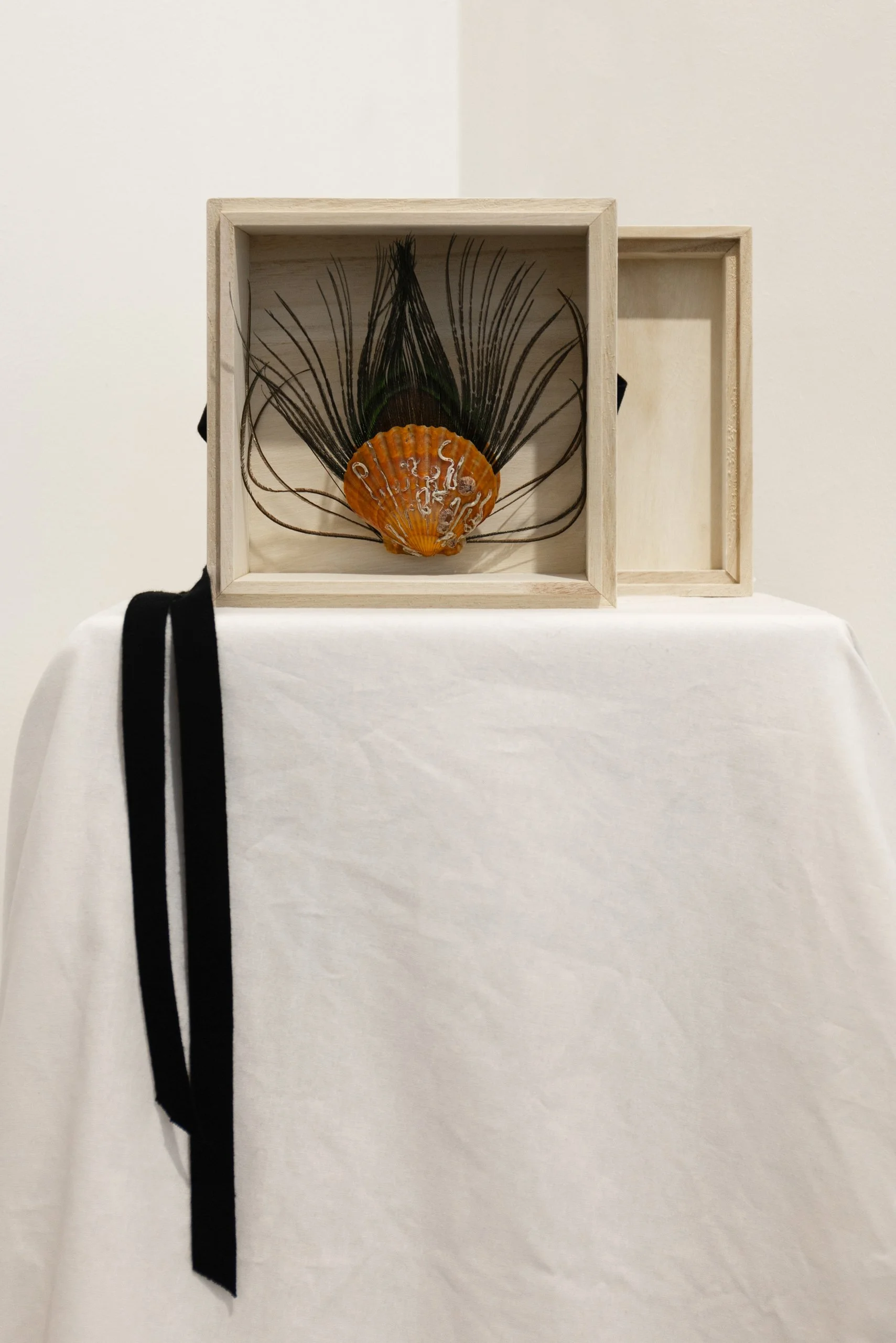 Parker McComb_HYDROHALO_Combine Works_2026_047_cropped.jpg