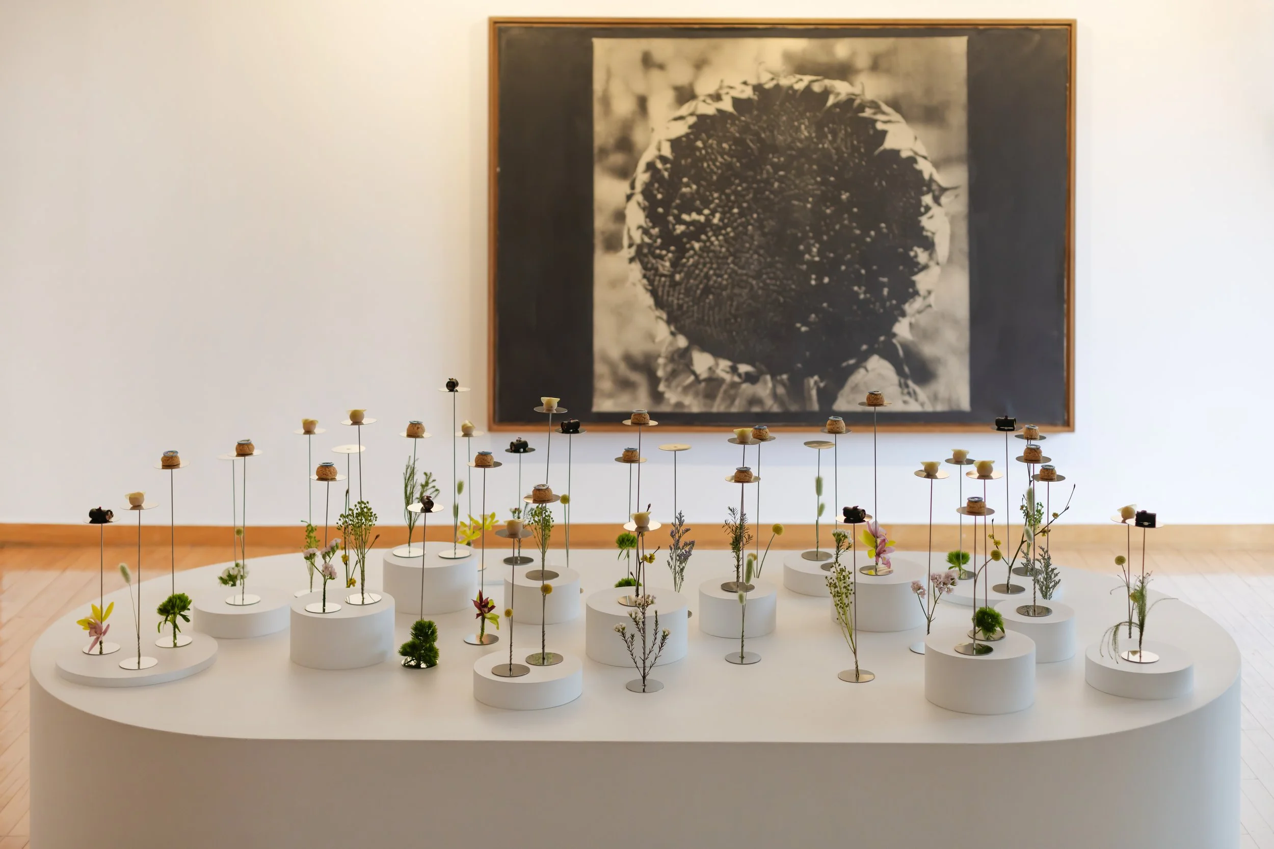 ParkerMcComb_Ad Arte_Loop Busan_034.jpg