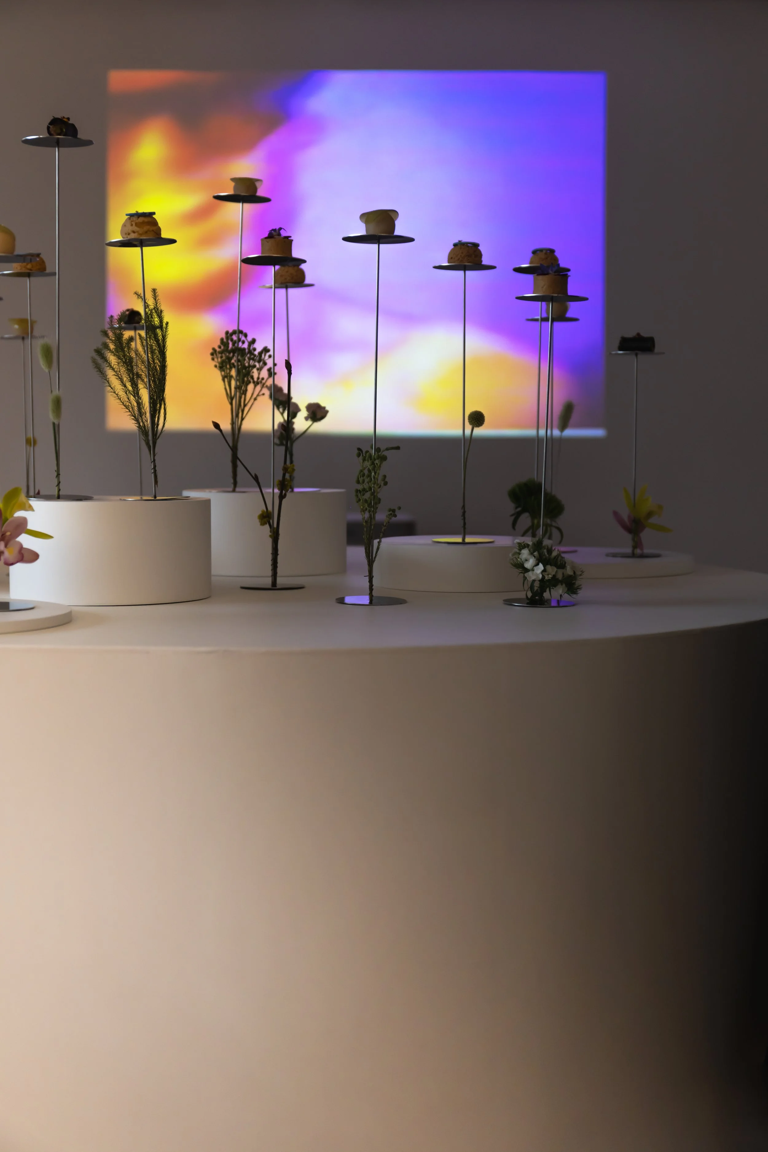 ParkerMcComb_Loop Busan_Ad Arte_006.jpg