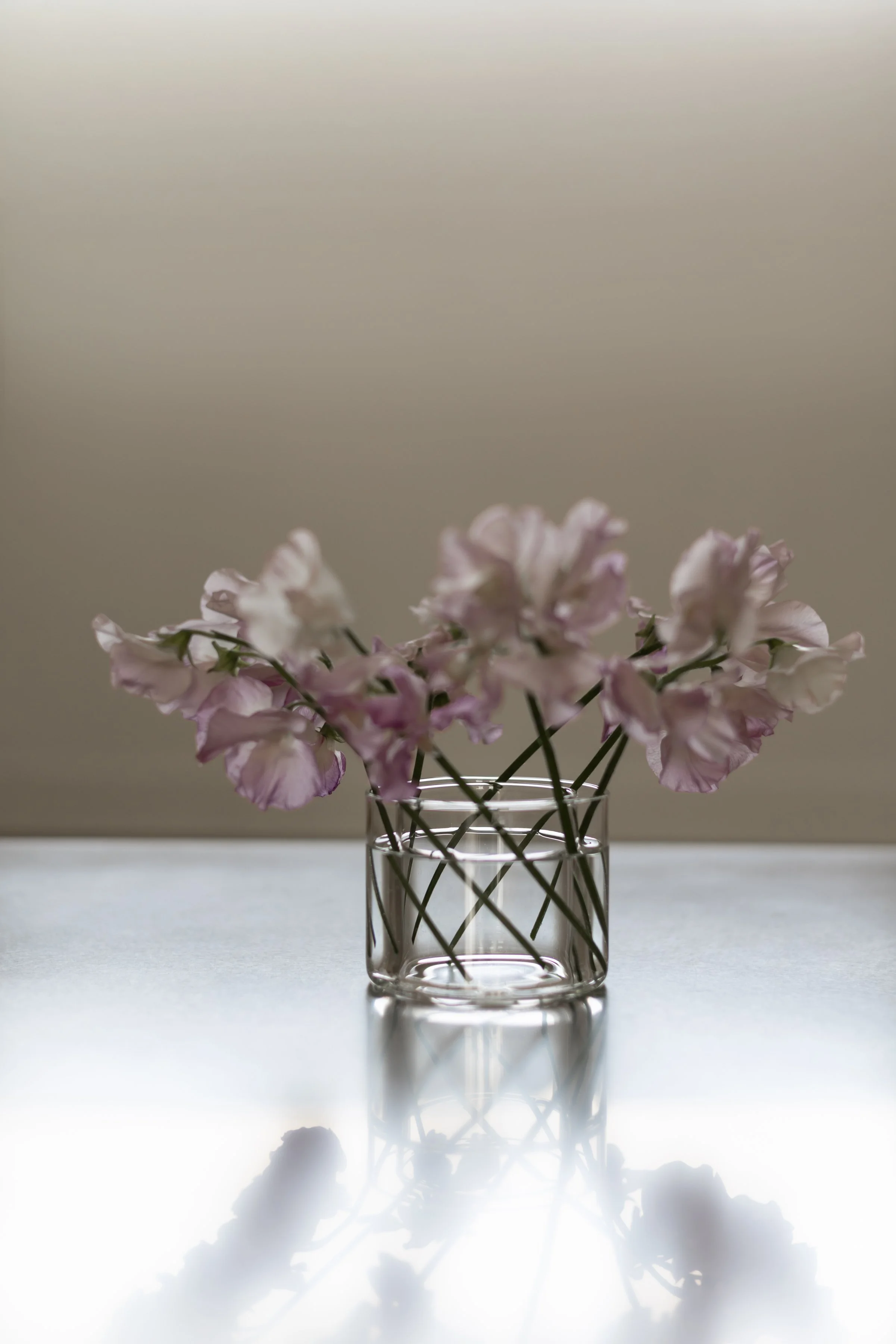 Parker McComb_MAEGAE_April_2026_130....jpg