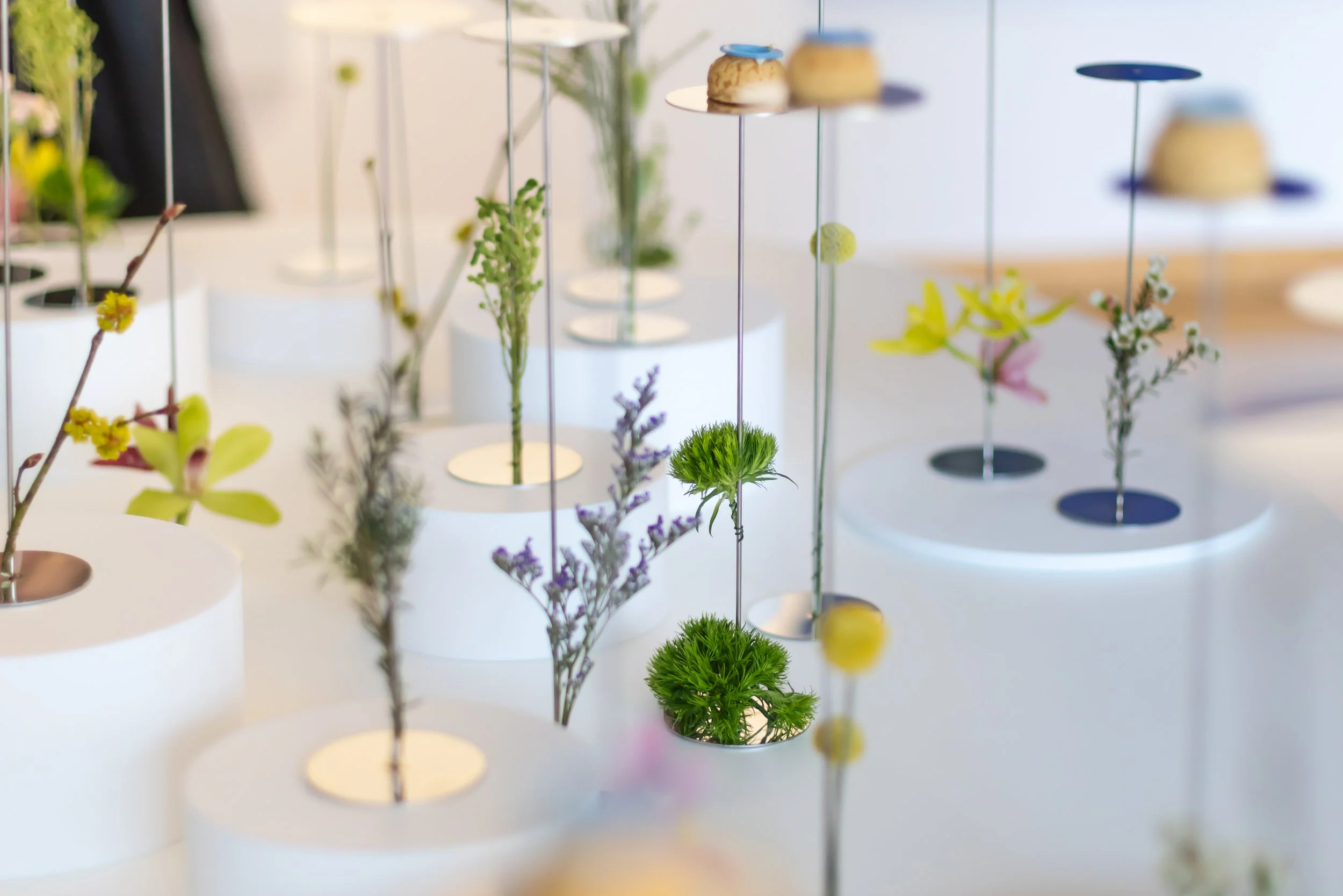ParkerMcComb_Ad Arte_Loop Busan_030.jpg
