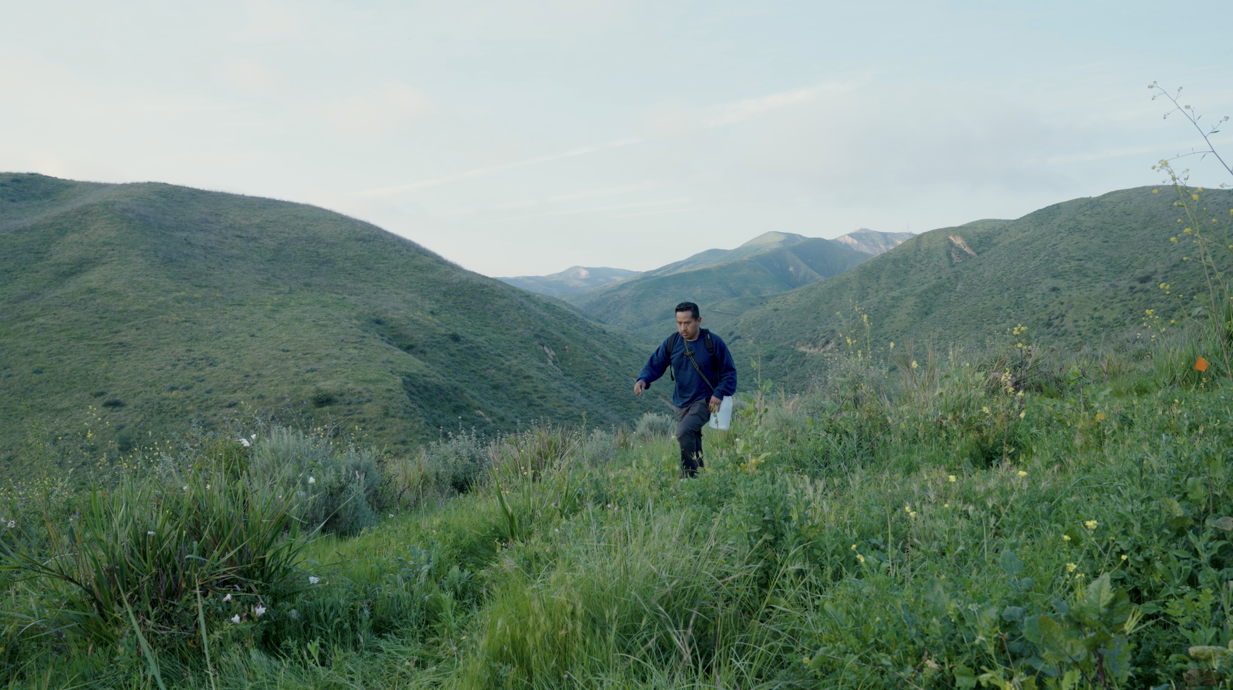 A man hiking in a lush, green mountain landscape with rolling hills and a clear sky.