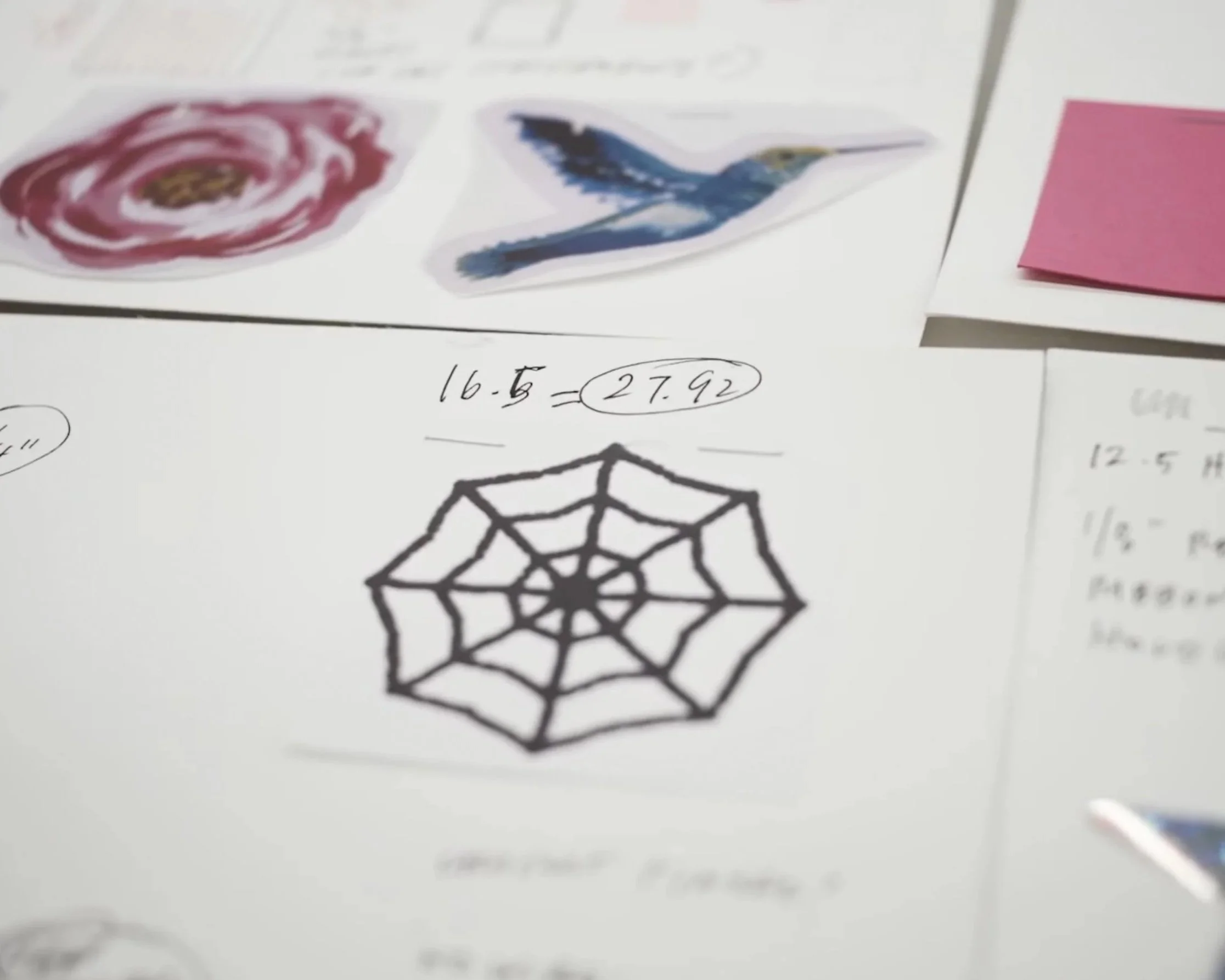 A drawing of a spider web on paper. Next to it, a drawing of a hummingbird and a pink flower. Handwritten notes and numbers are visible, indicating measurements.