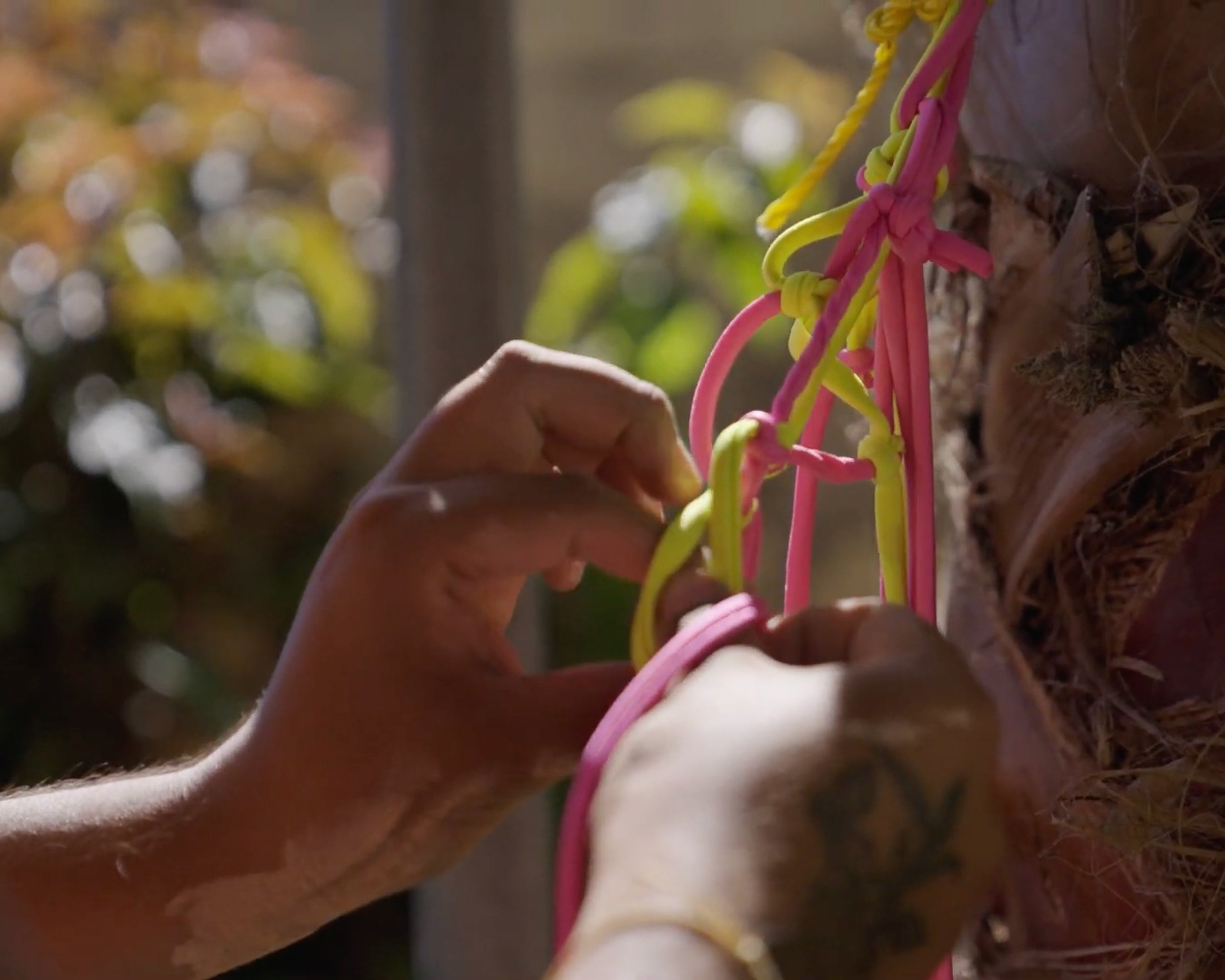 Close-up of a person's hand tying colorful yarn strands around a tree trunk in an outdoor setting with blurred background of trees.