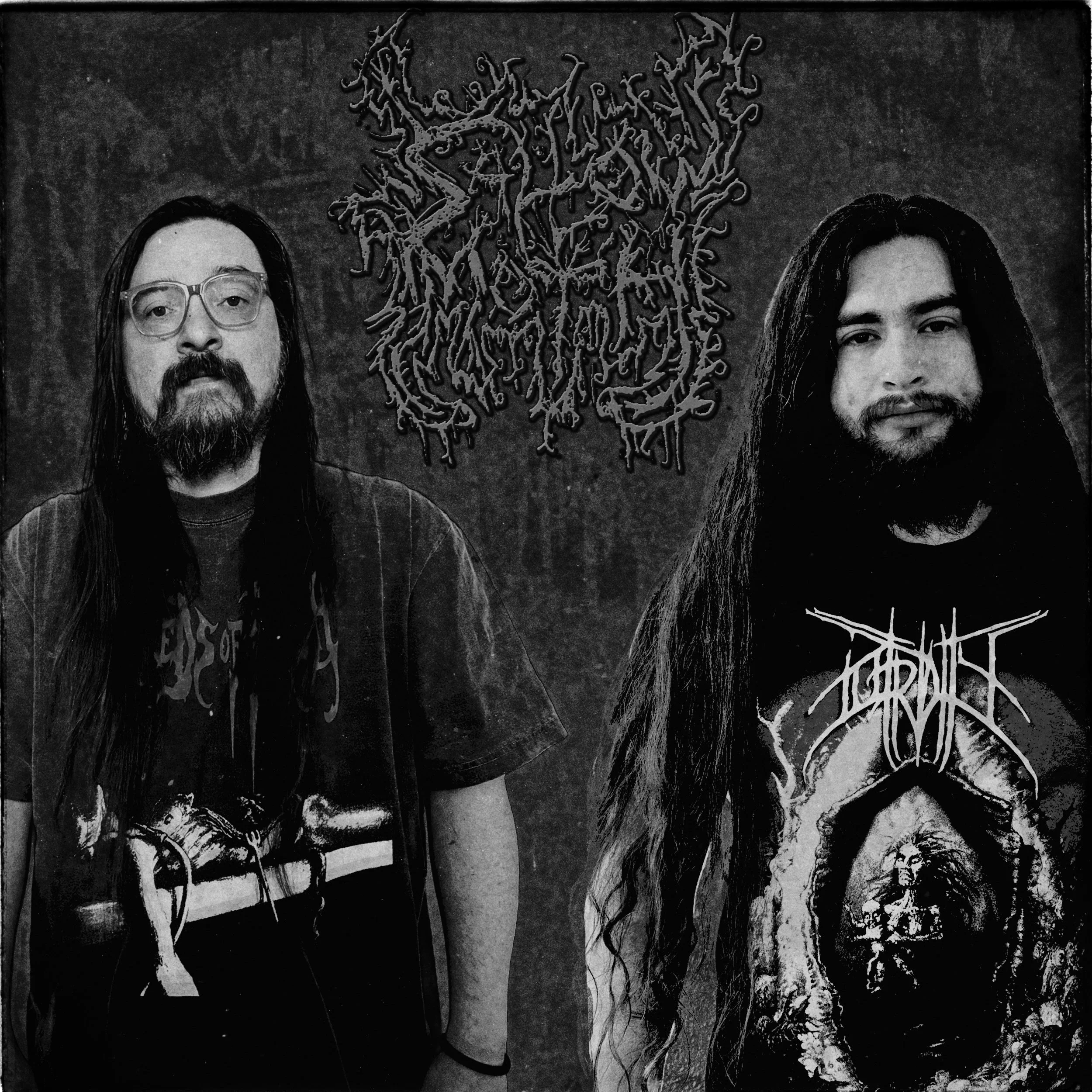 SallowMothBand.jpg