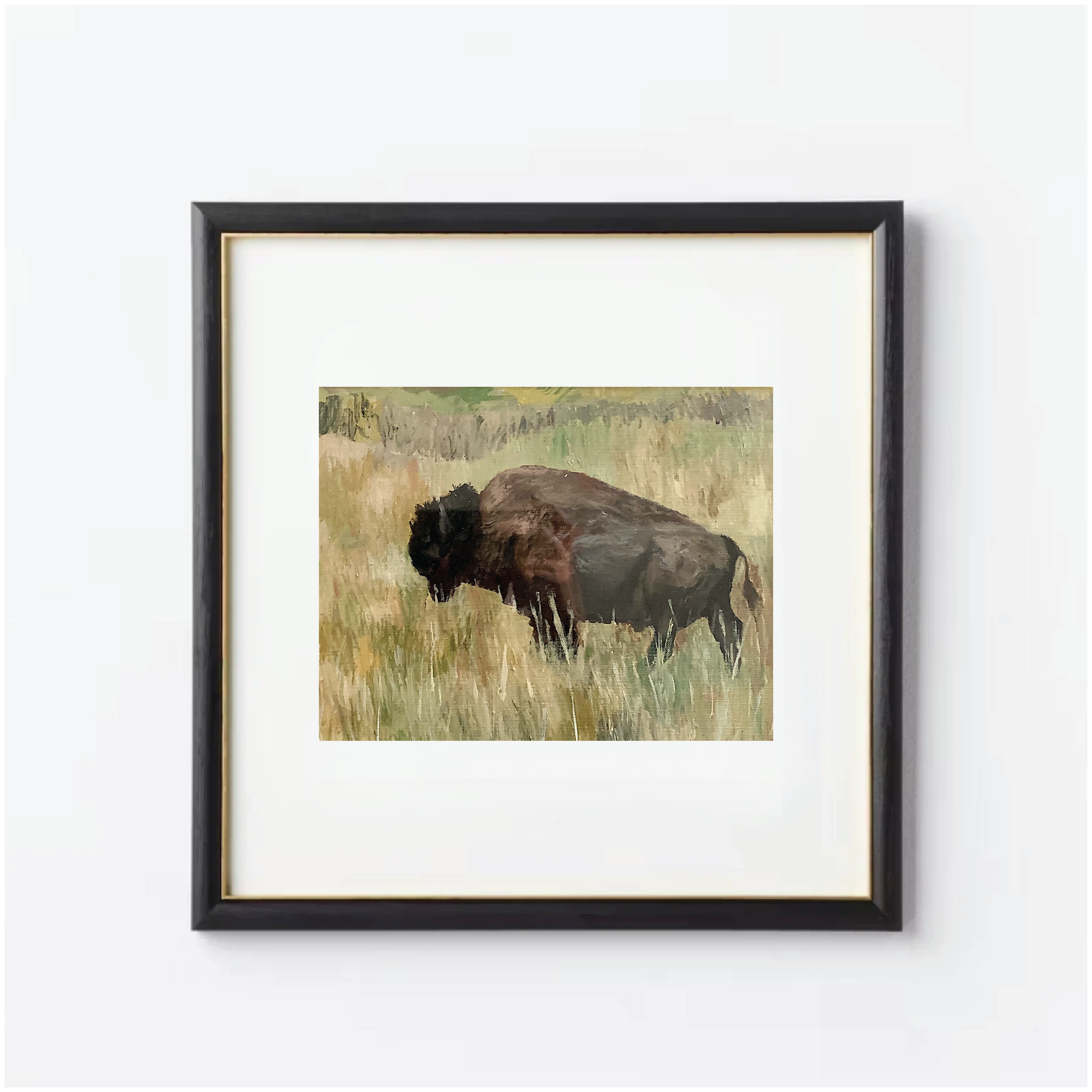 Yellowstone Bison