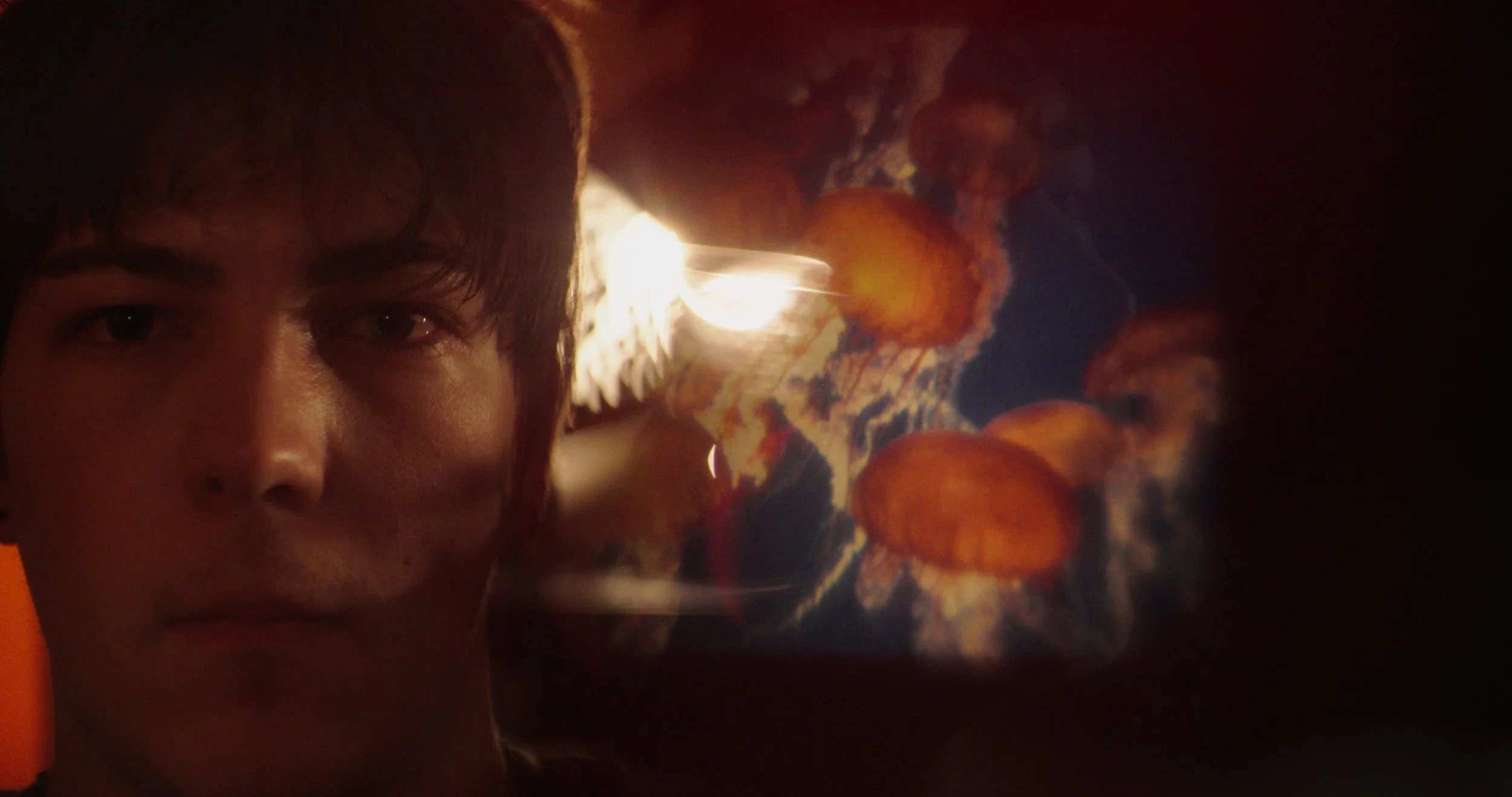 Still 2026-03-12 233024_1.10.1.jpg