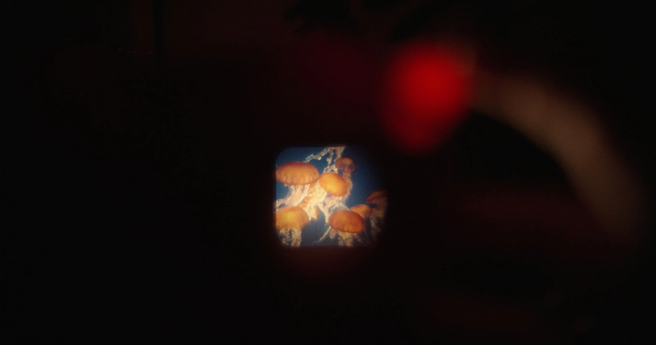 Still 2026-03-12 233024_1.7.1.jpg