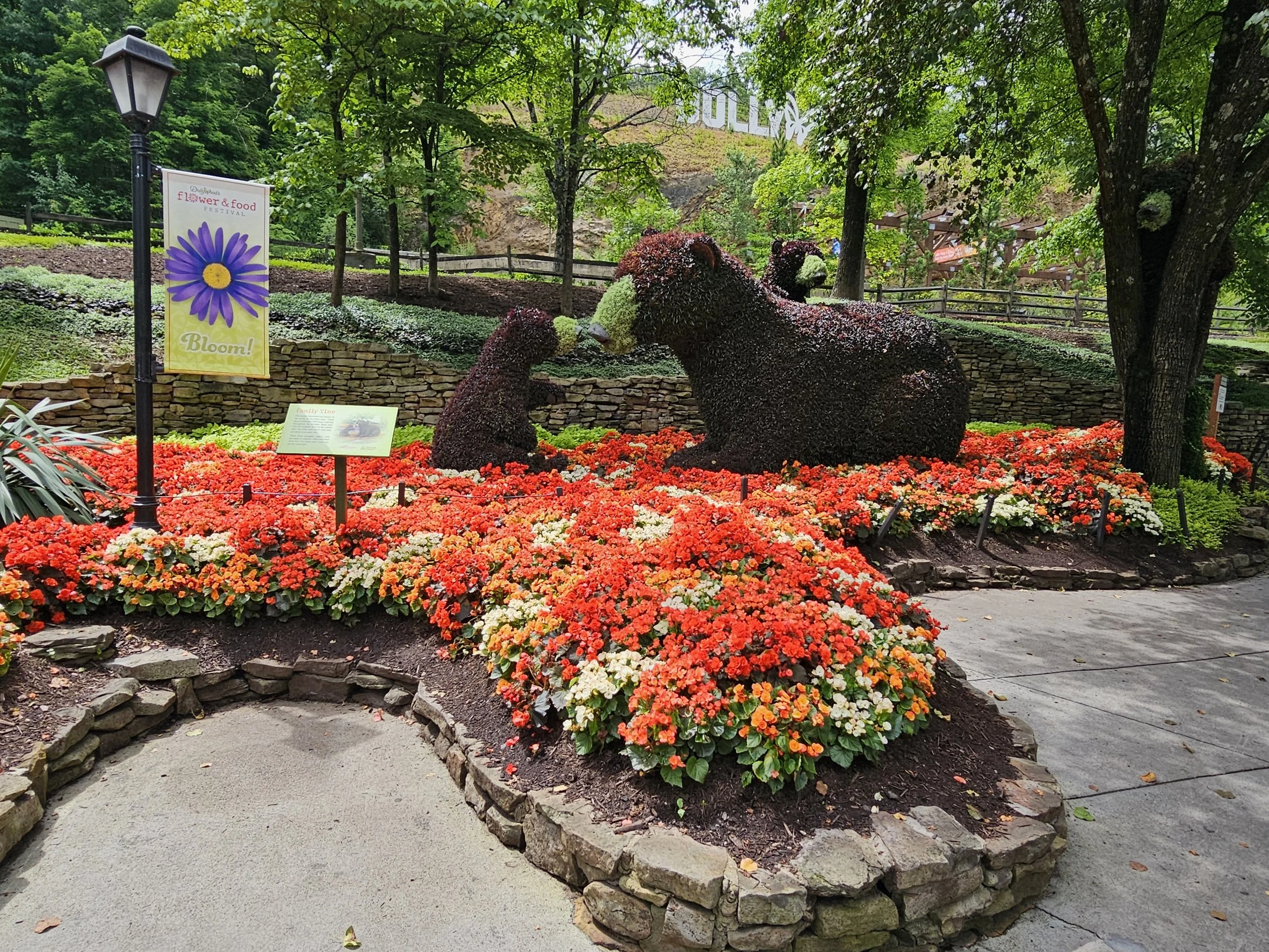 wide angle of beat topiaries