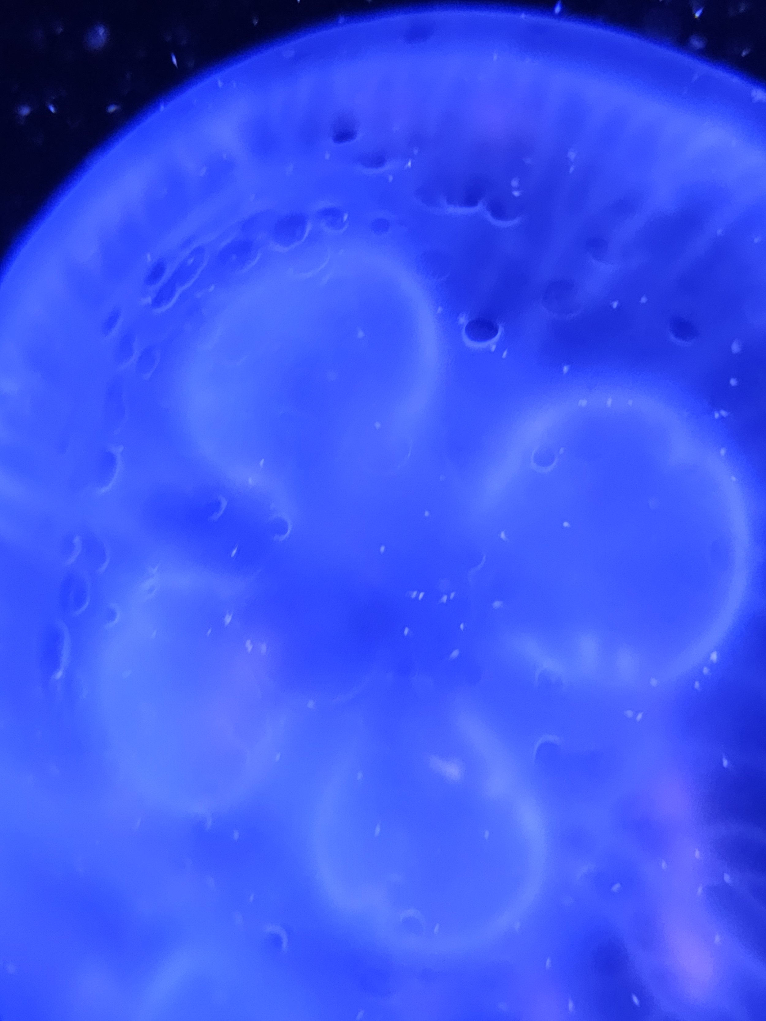 20260705_140752.jpg