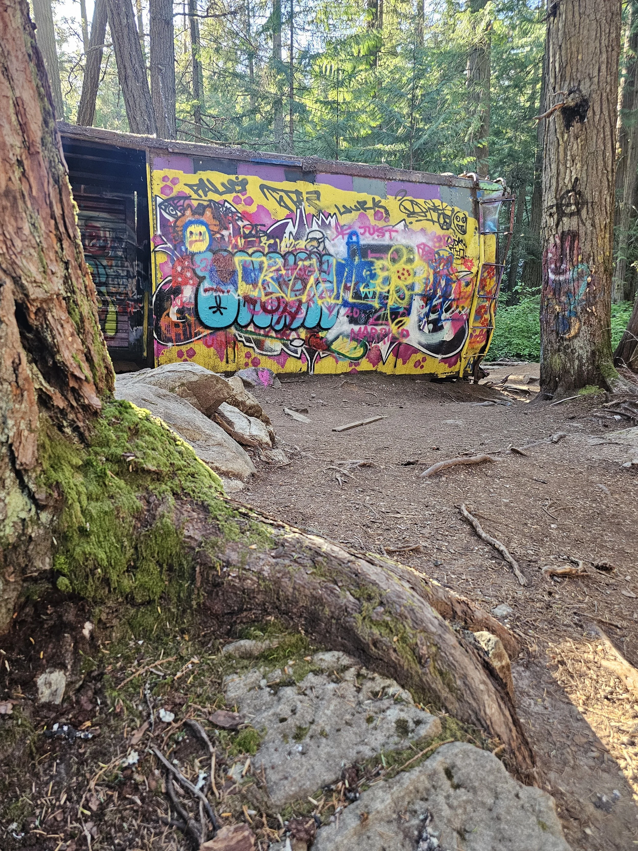 train wreck with tree branch