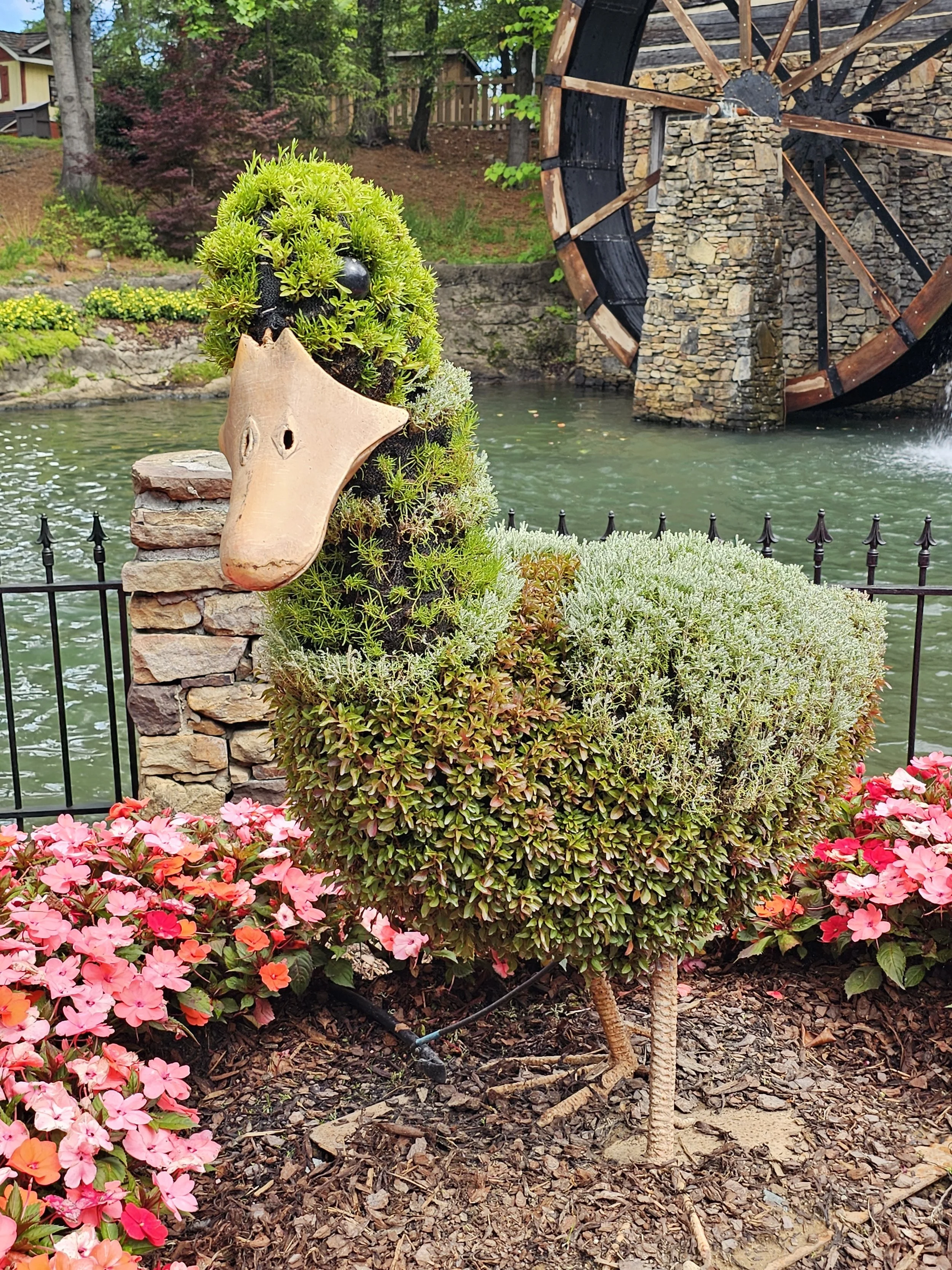 duck topiary
